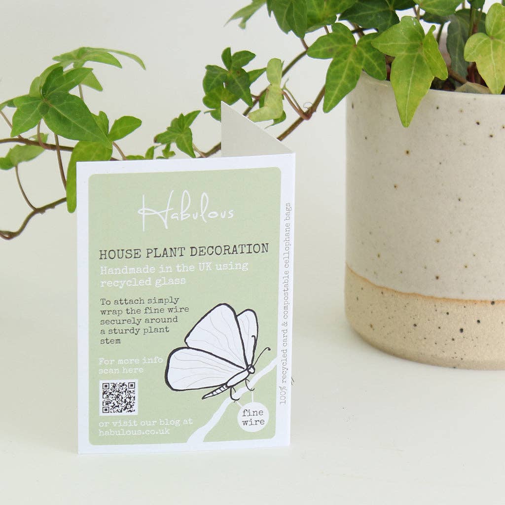House plant information card next to a potted plant.