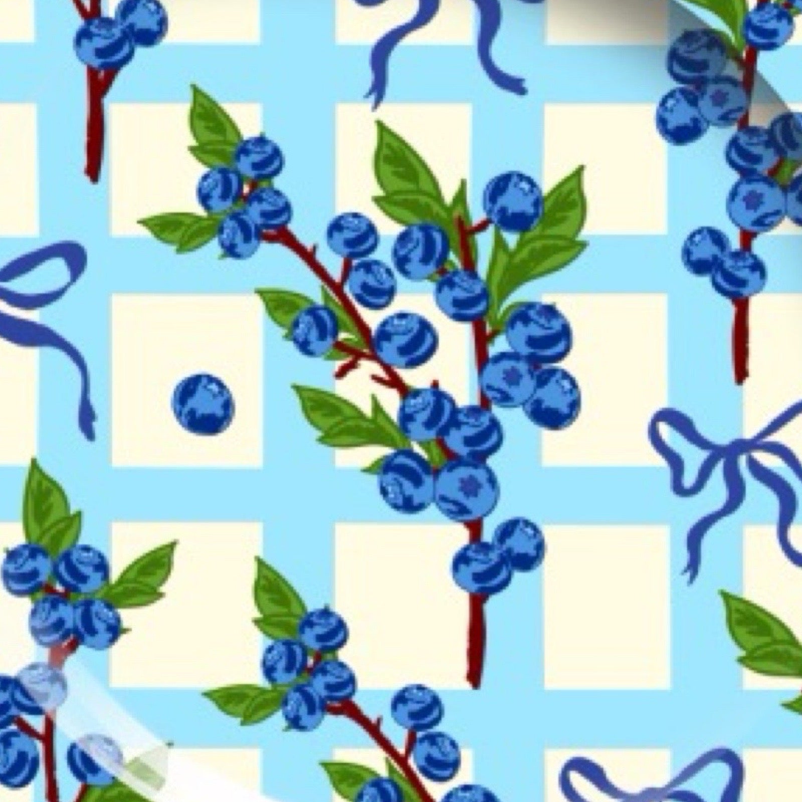 Pattern of blueberries and ribbons on a checkered background.