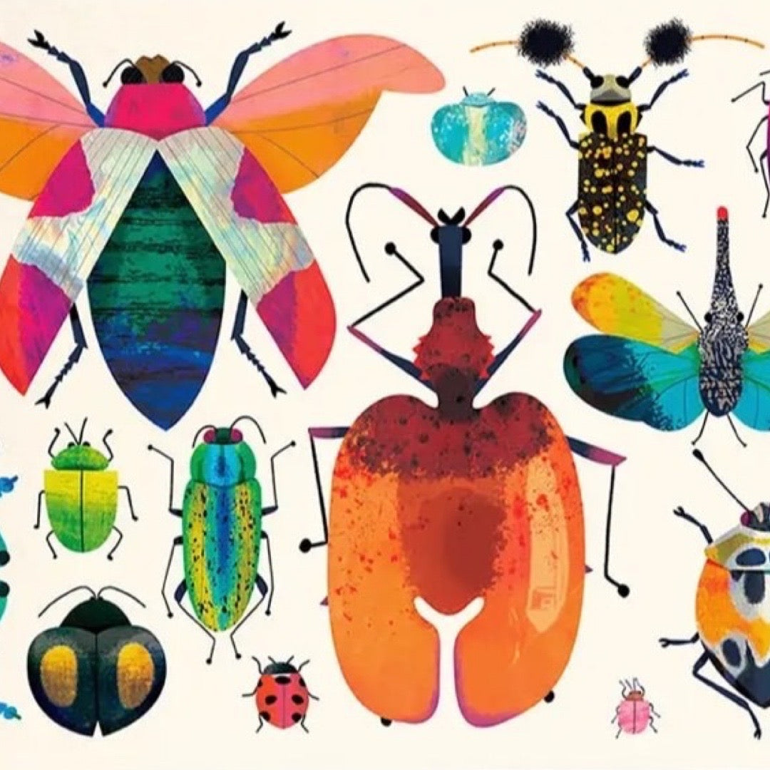 Illustrated postcard of brightly coloured bugs and insects on a white background.