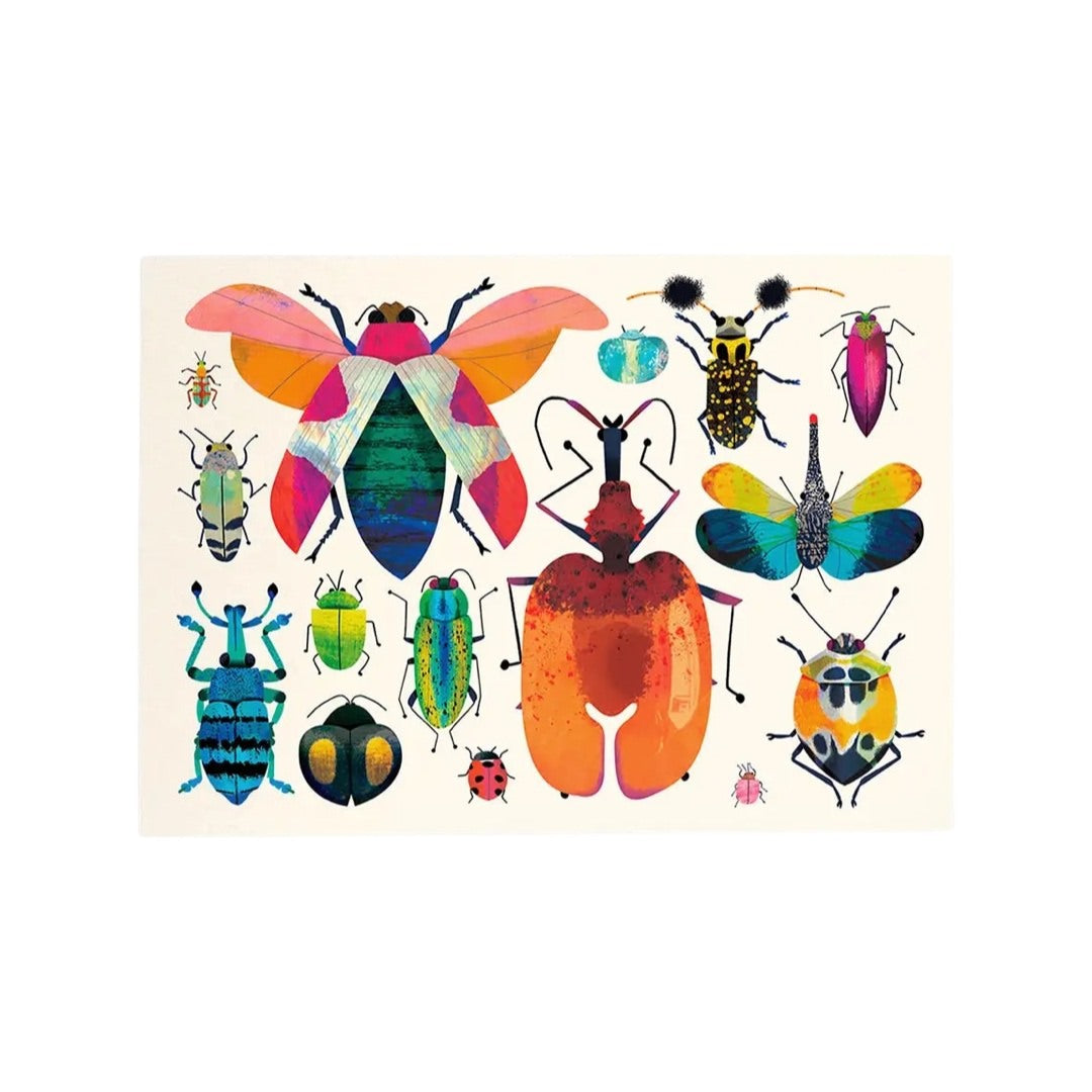 Illustrated postcard of brightly coloured bugs and insects on a white background.
