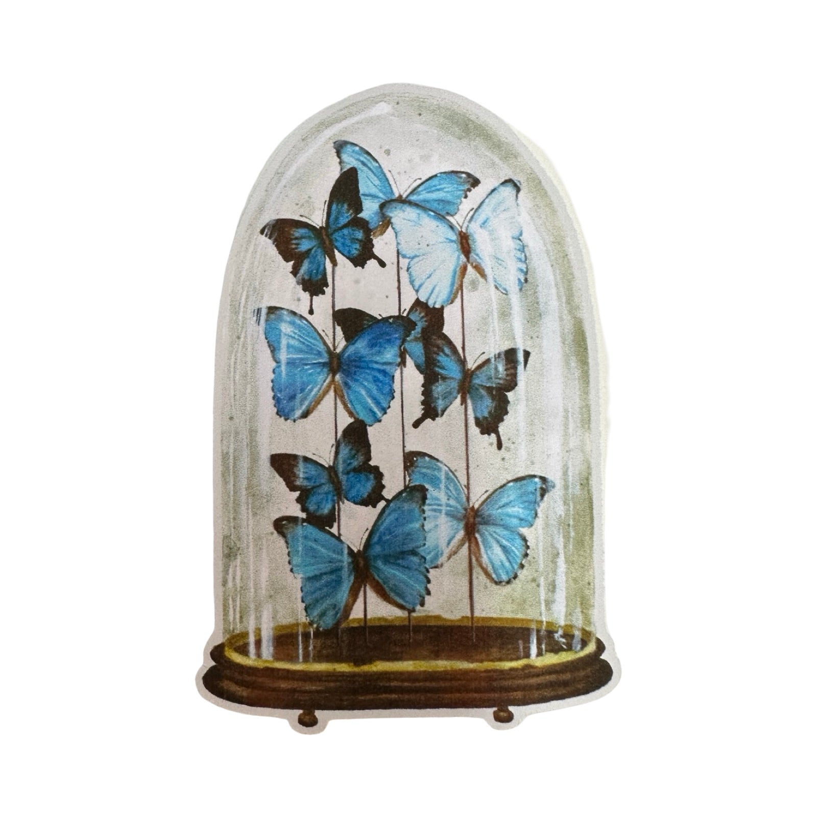 A vinyl watercolour sticker of blue butterflies encased in a glass dome. 