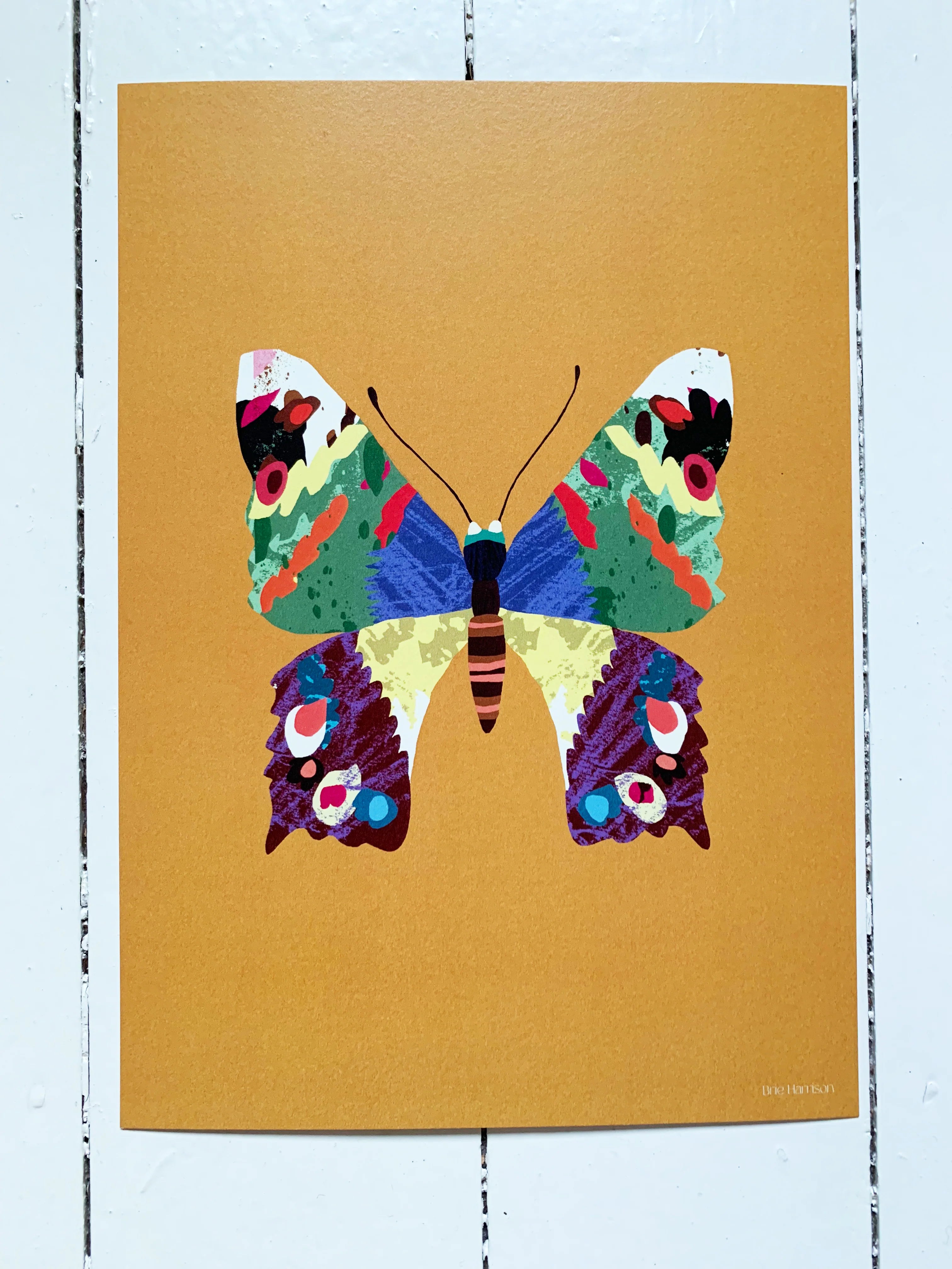 Colourful butterfly illustration on a mustard yellow background, on the floor.