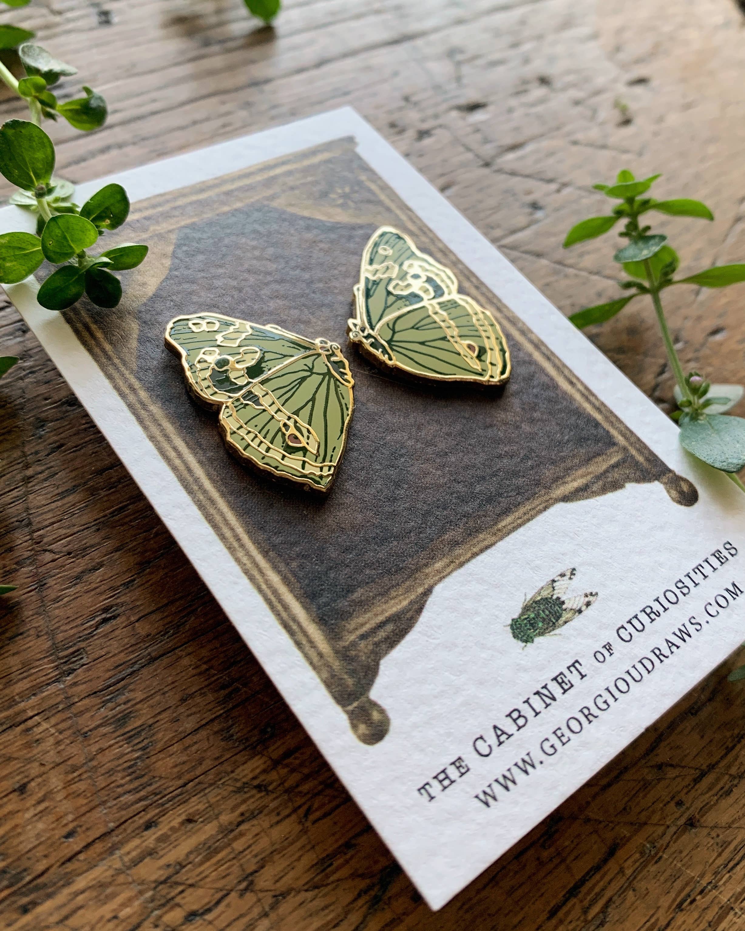 Two green butterfly pins on a card with 'The Cabinet of Curiosities' branding.