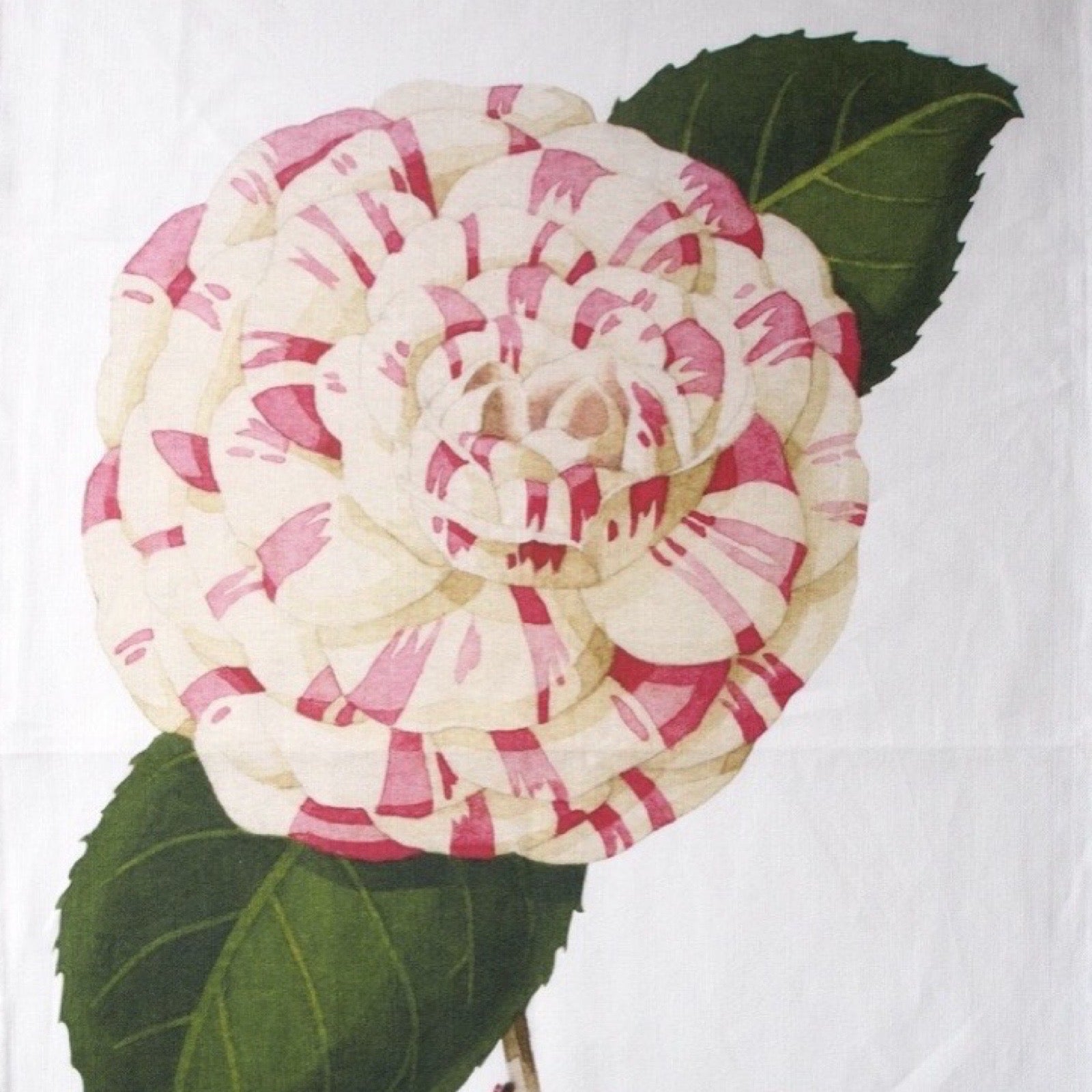 Decorative flower with pink and white petals on a white background.