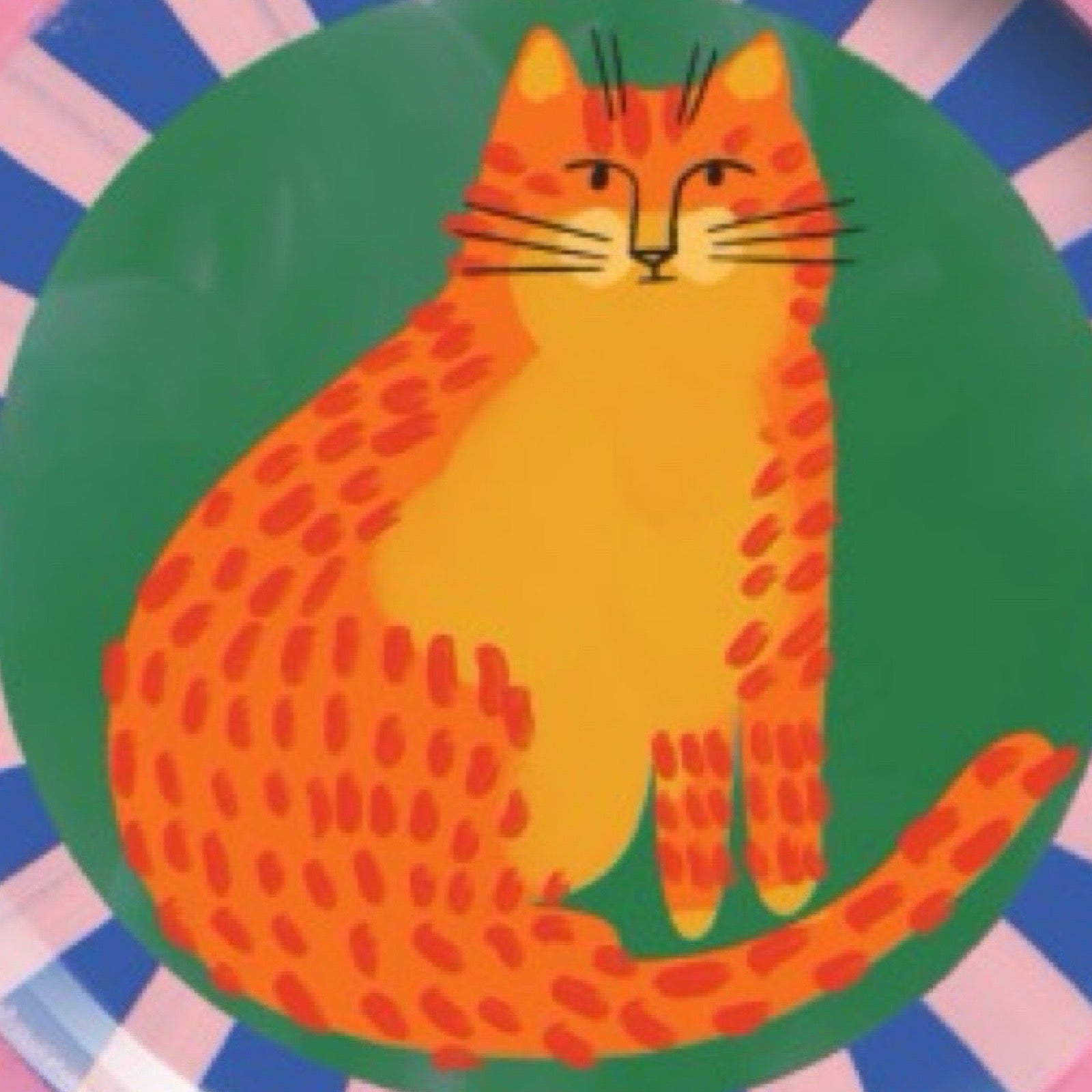 Colourful plate with a cat design on an multicoloured background.
