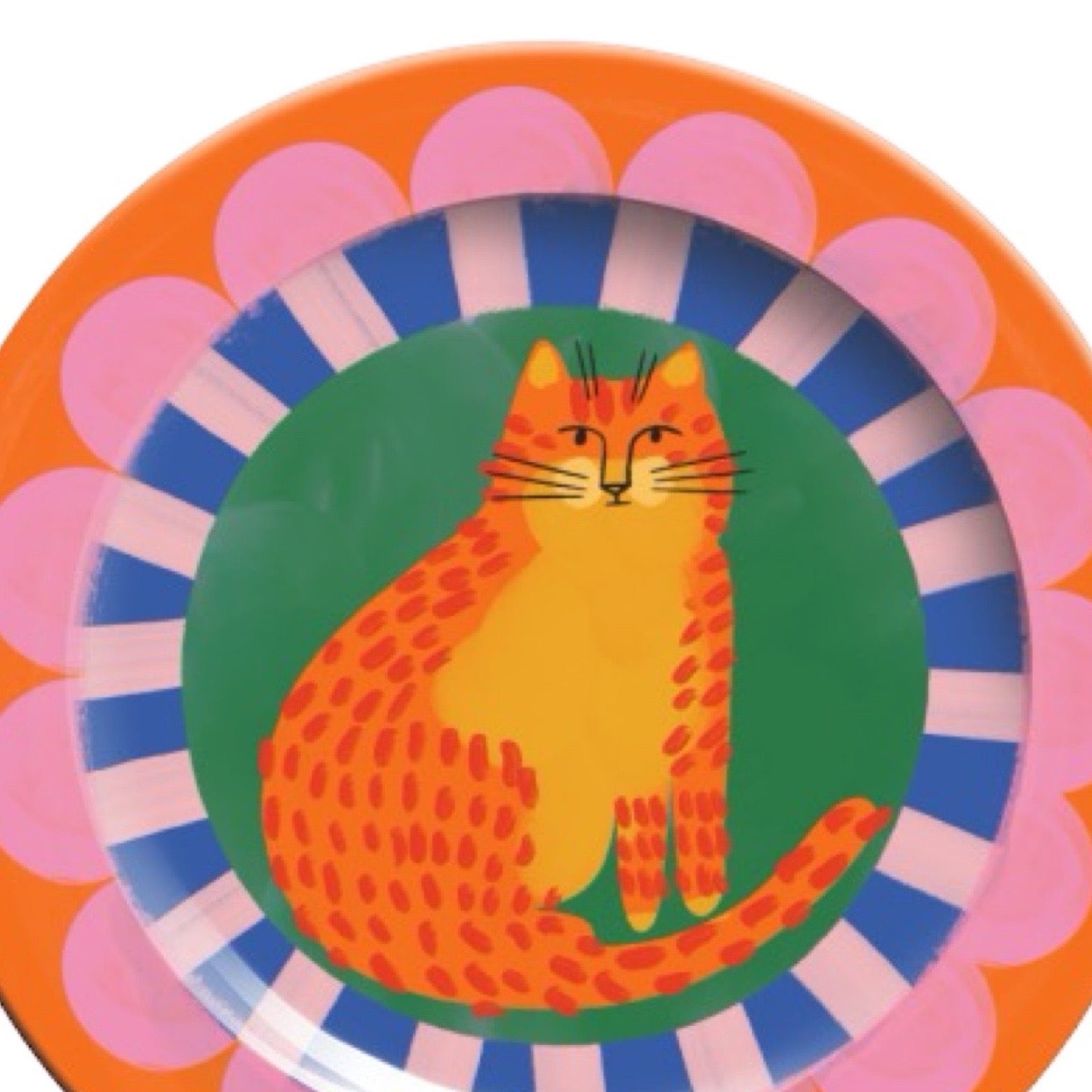 Colourful plate with a cat design on an multicoloured background.