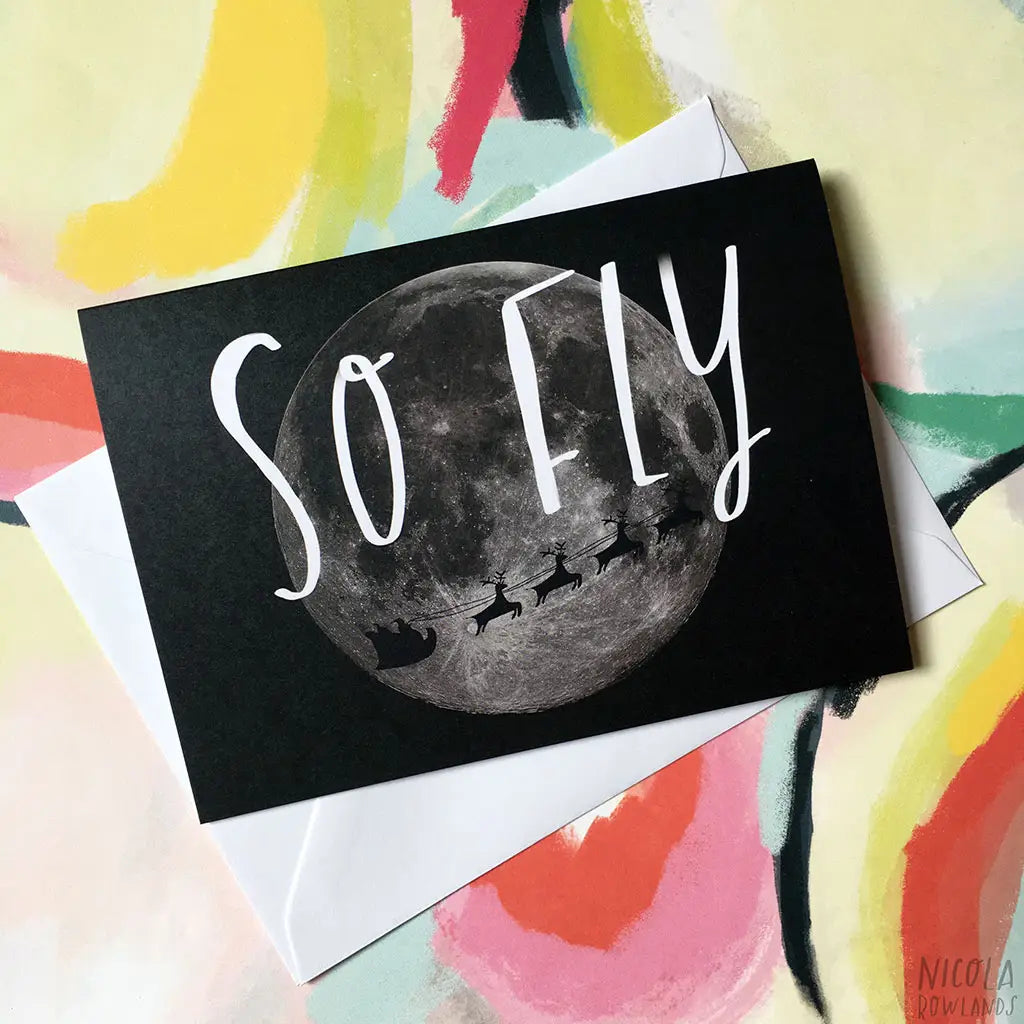 So Fly Christmas Card Pack