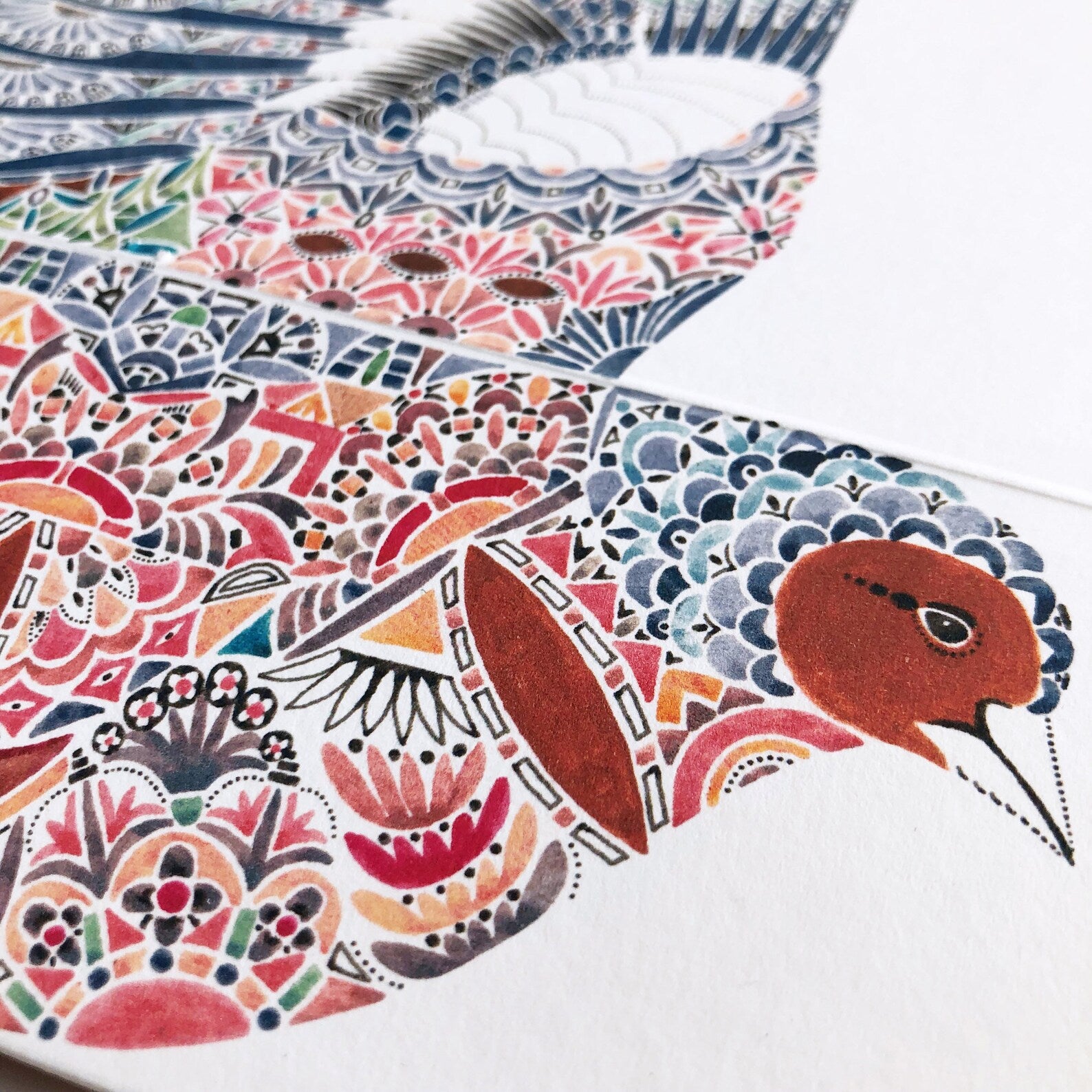 Colourful bird design on a white background.
