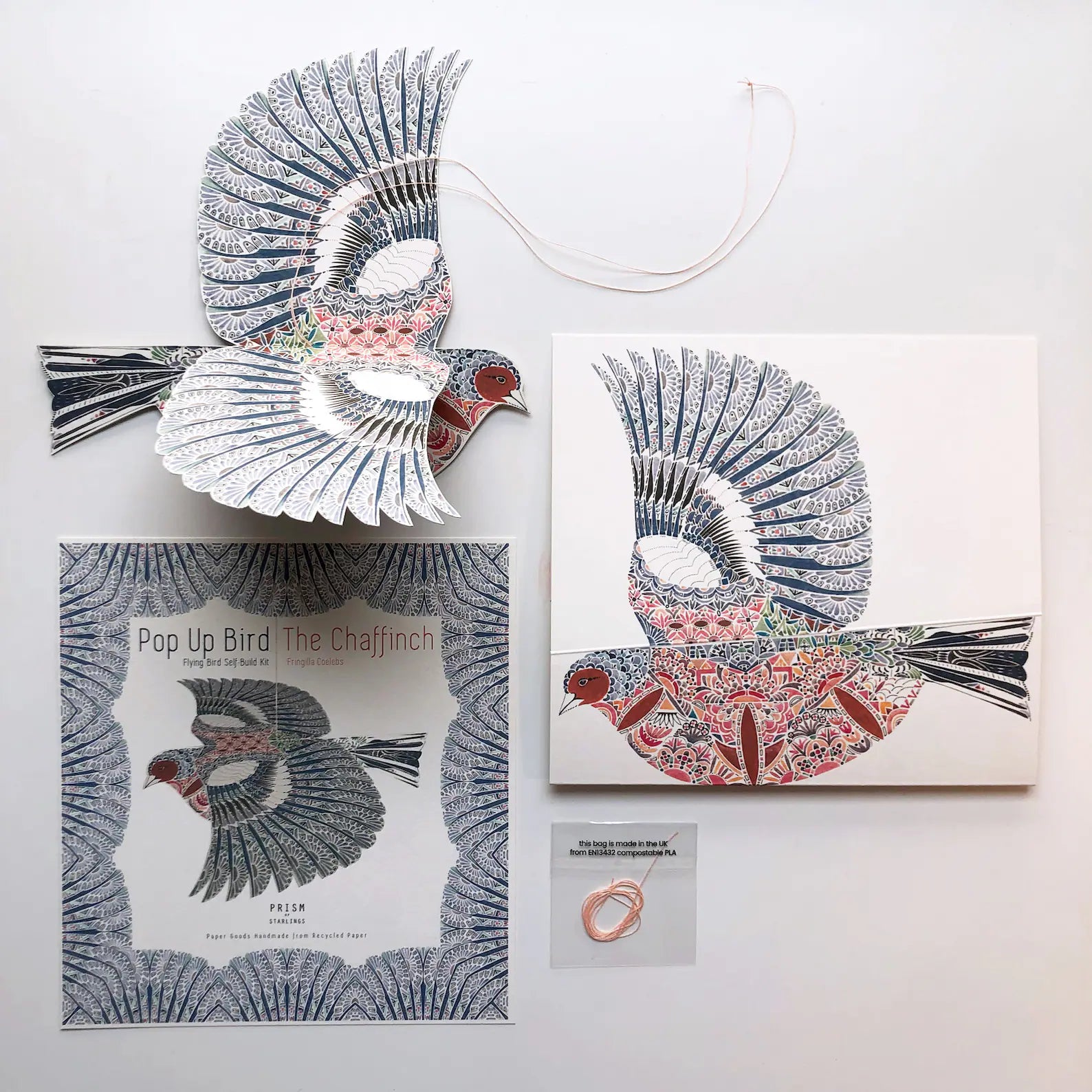 Pop-up bird book and packaging on a white background.