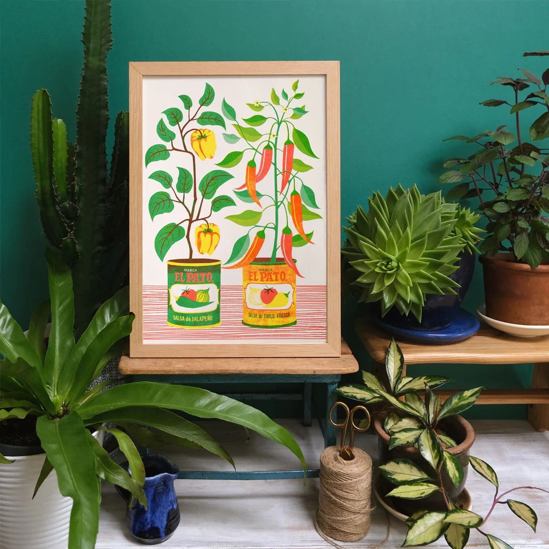 Framed illustration of plants and El Pato cans on a shelf with plants around.
