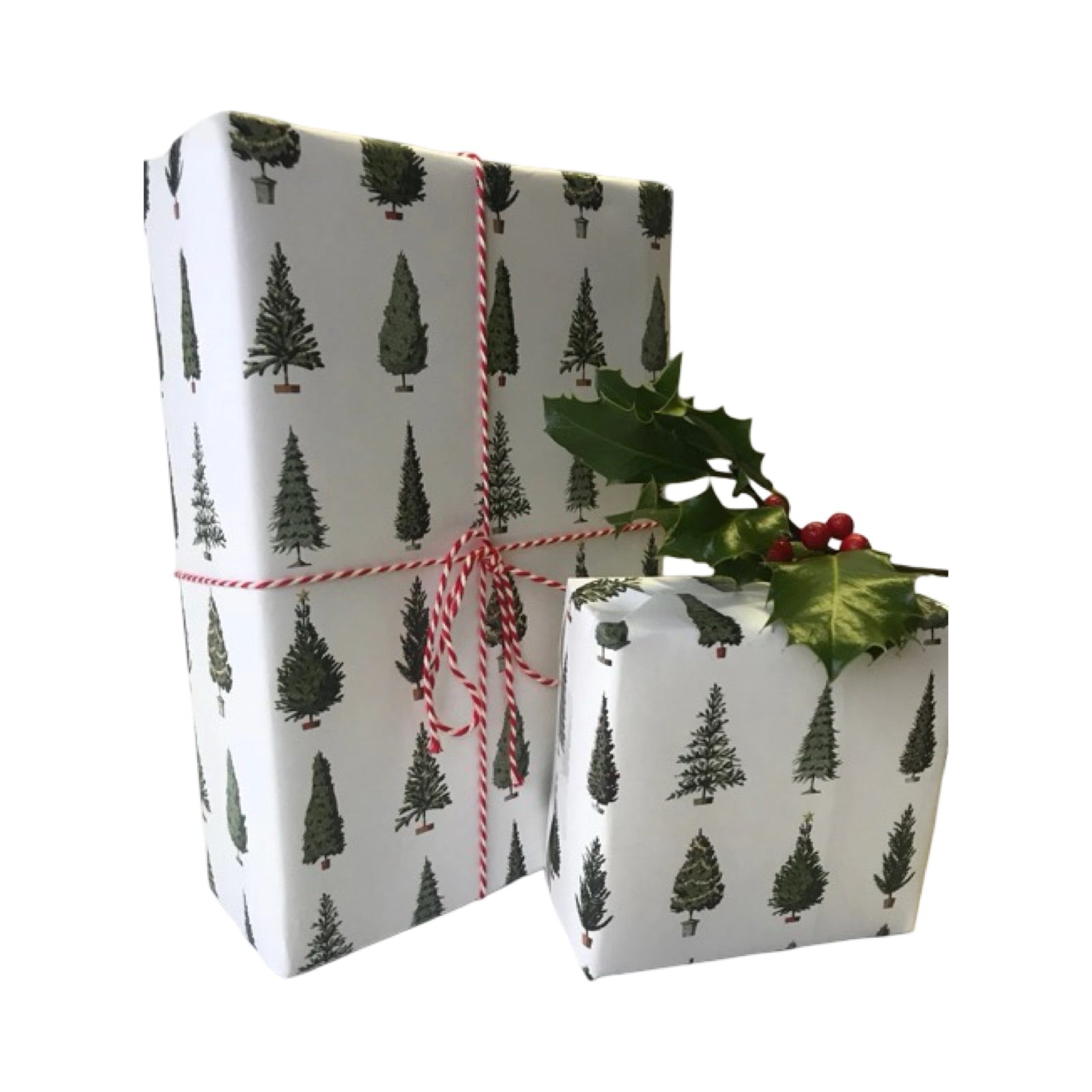 Illustrated Christmas tree wrapping paper a white background.