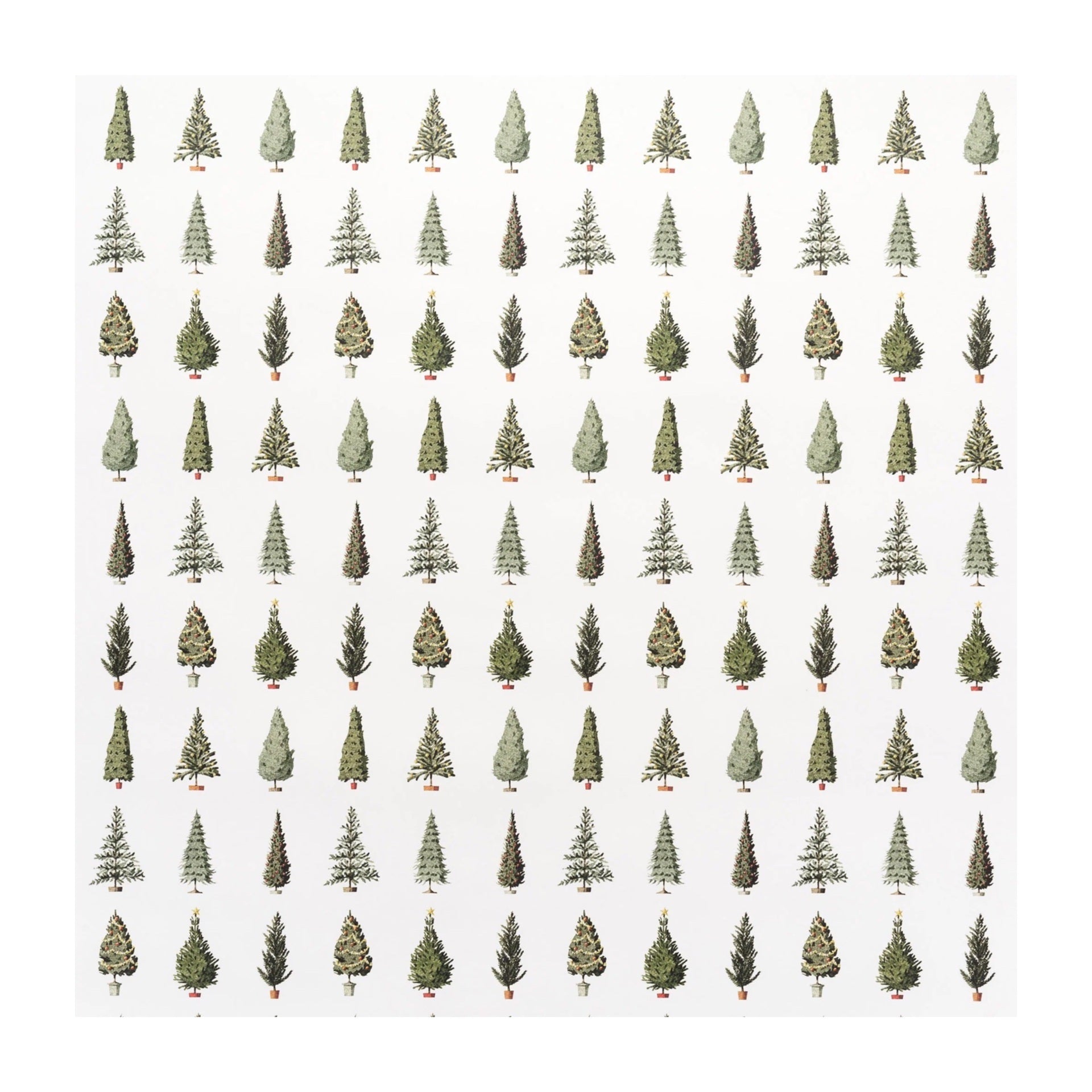 Single sheet of illustrated Christmas tree wrapping paper a white background.