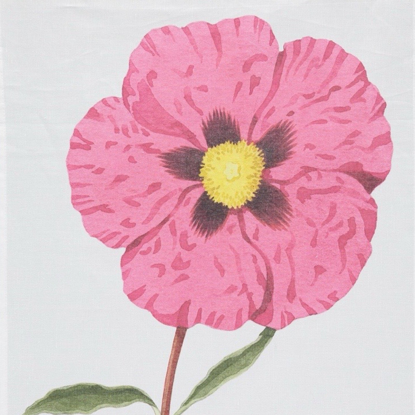 Illustration of a pink flower with a yellow center on a light gray background.