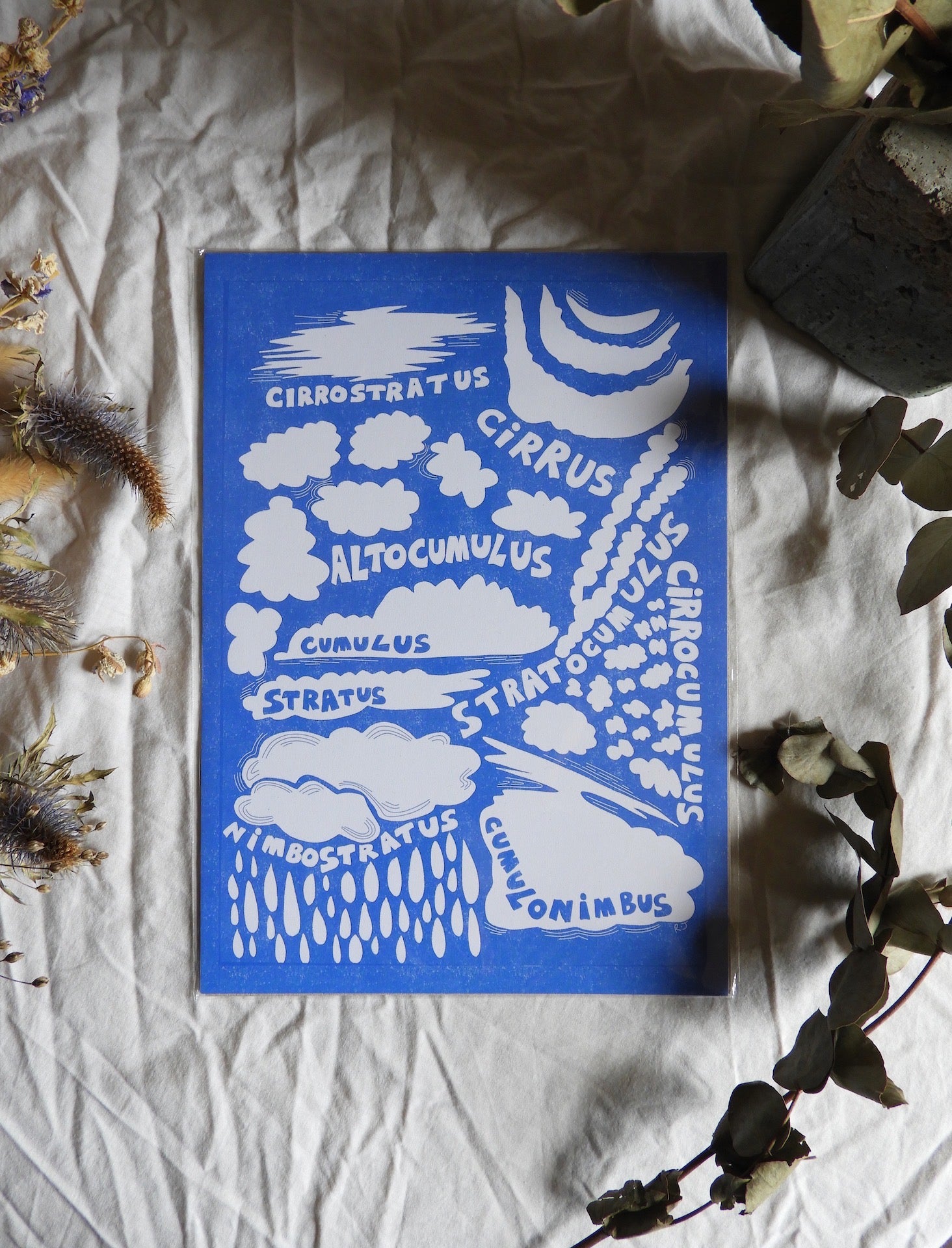 A blue and white print of clouds on a piece of fabric next to plants.