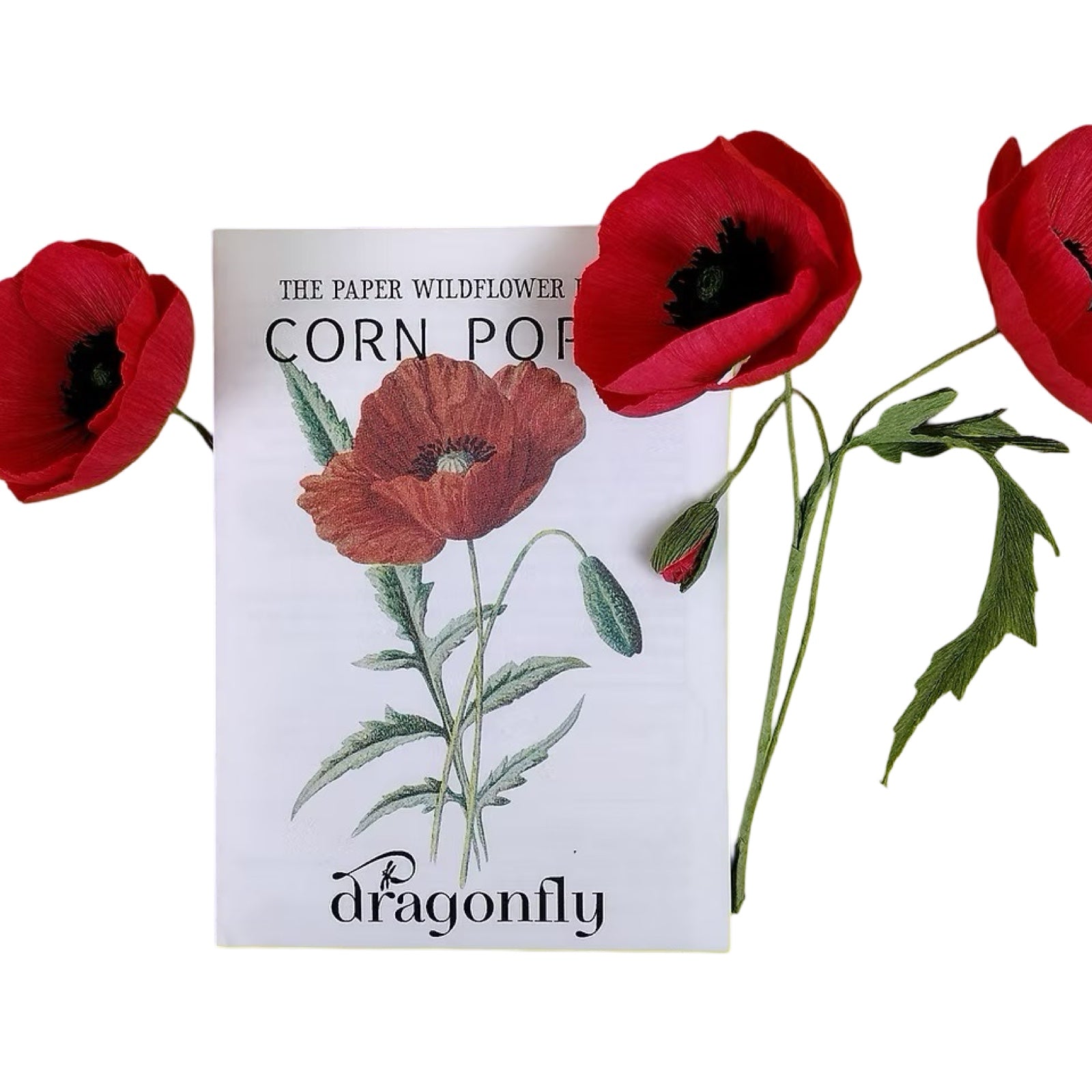 Card with corn poppy illustration and red flowers on a white background.