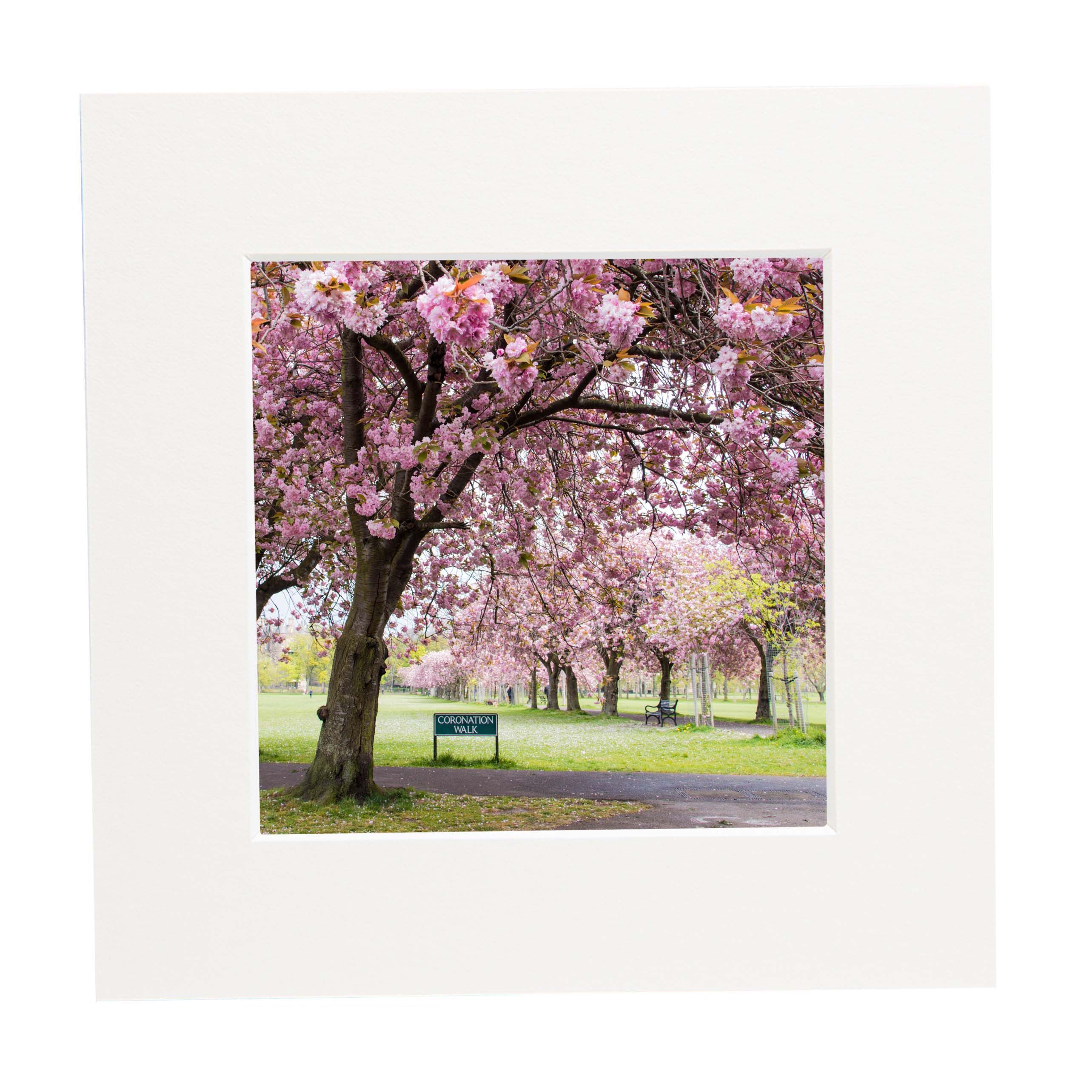 Coronation Walk, Edinburgh Mounted Print