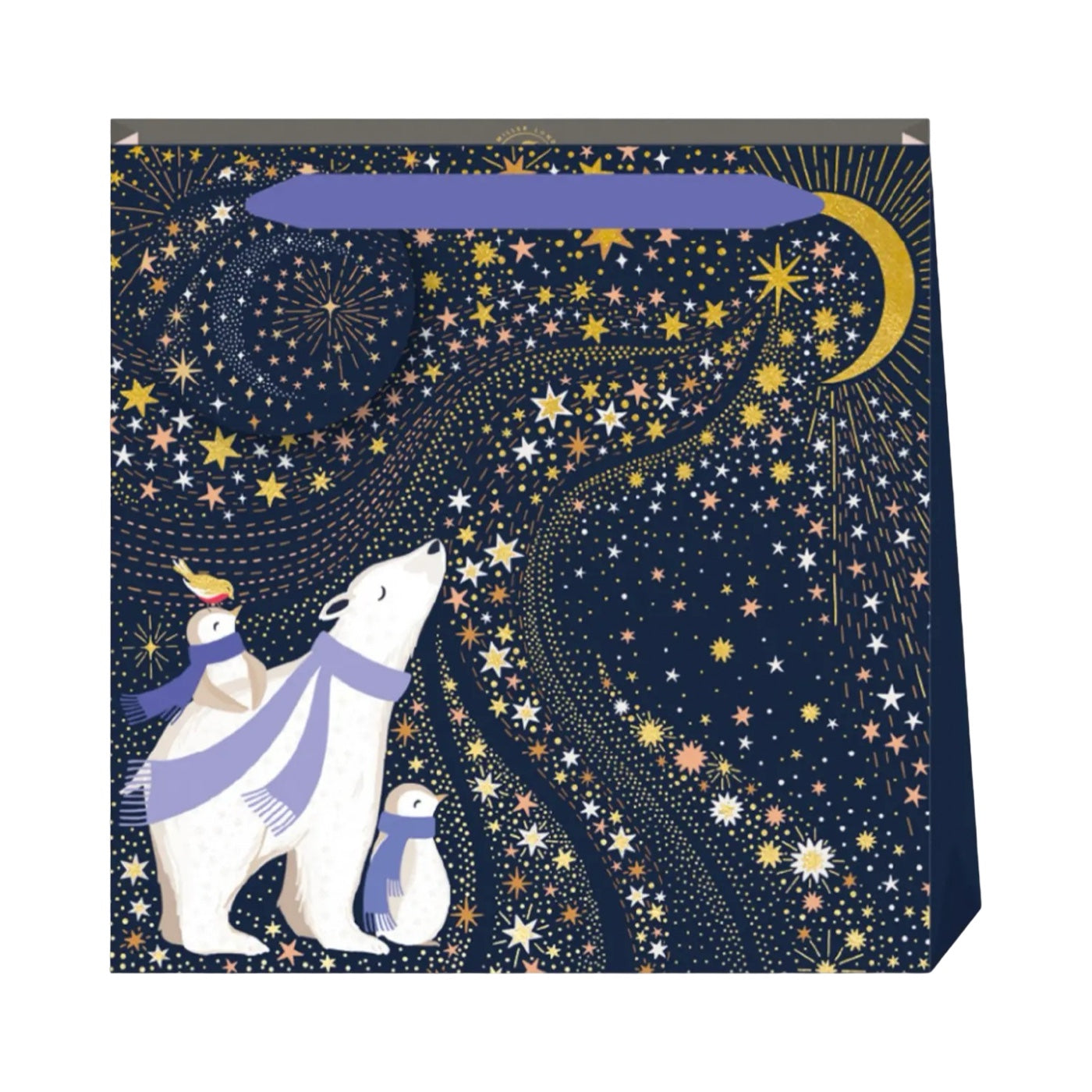Polar Bear Christmas Gift Bag Small