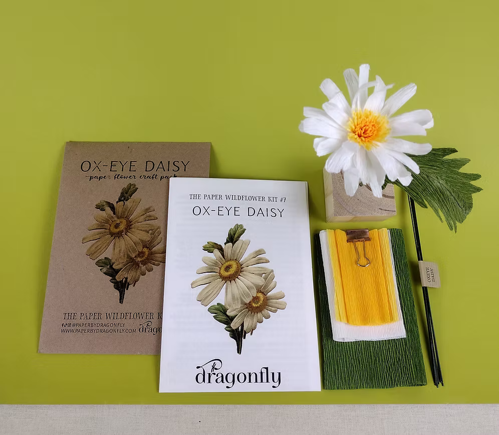 Ox-eye daisy paper flower craft kit with a white daisy on a green background.