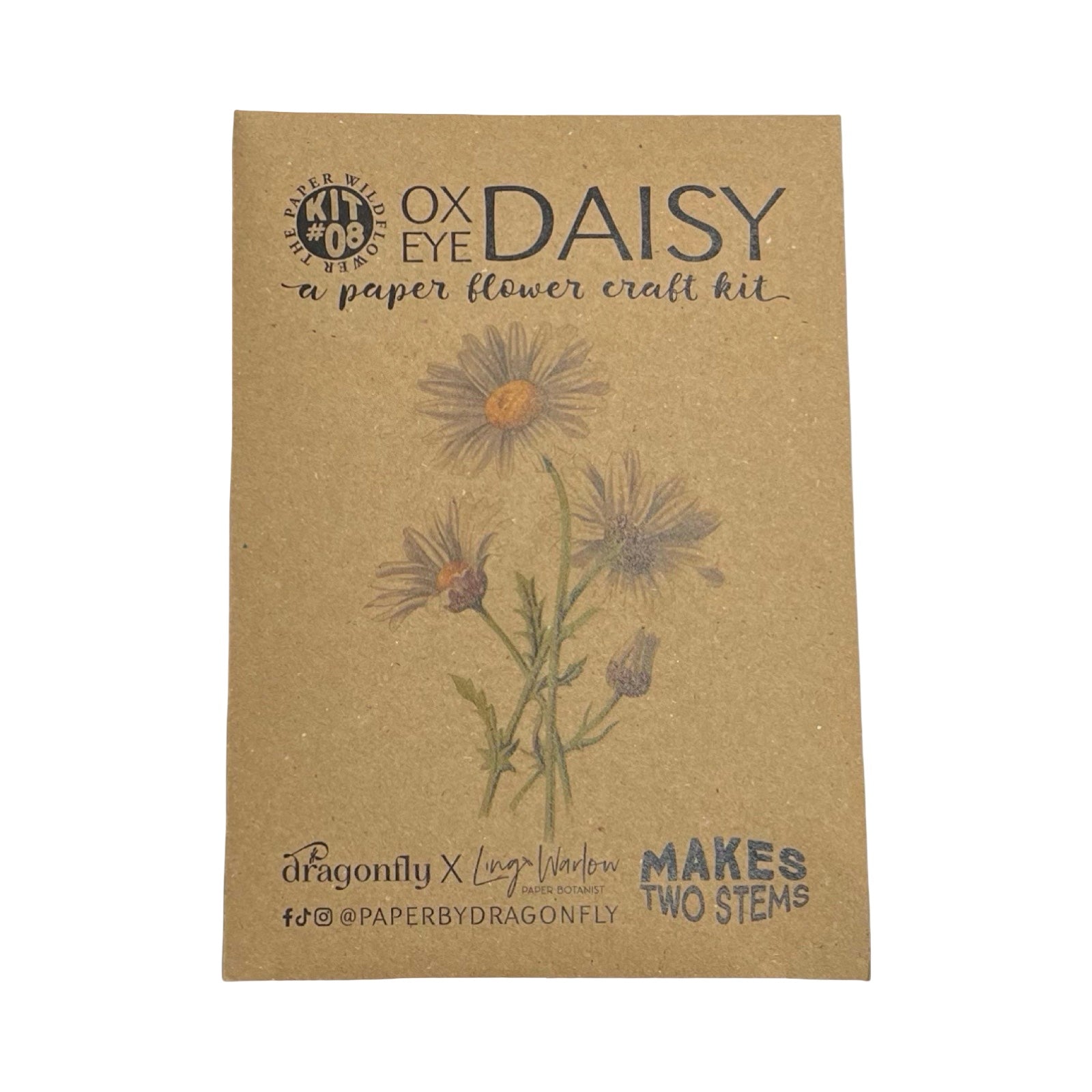 Ox Eye Daisy paper flower craft kit packaging on a white background.