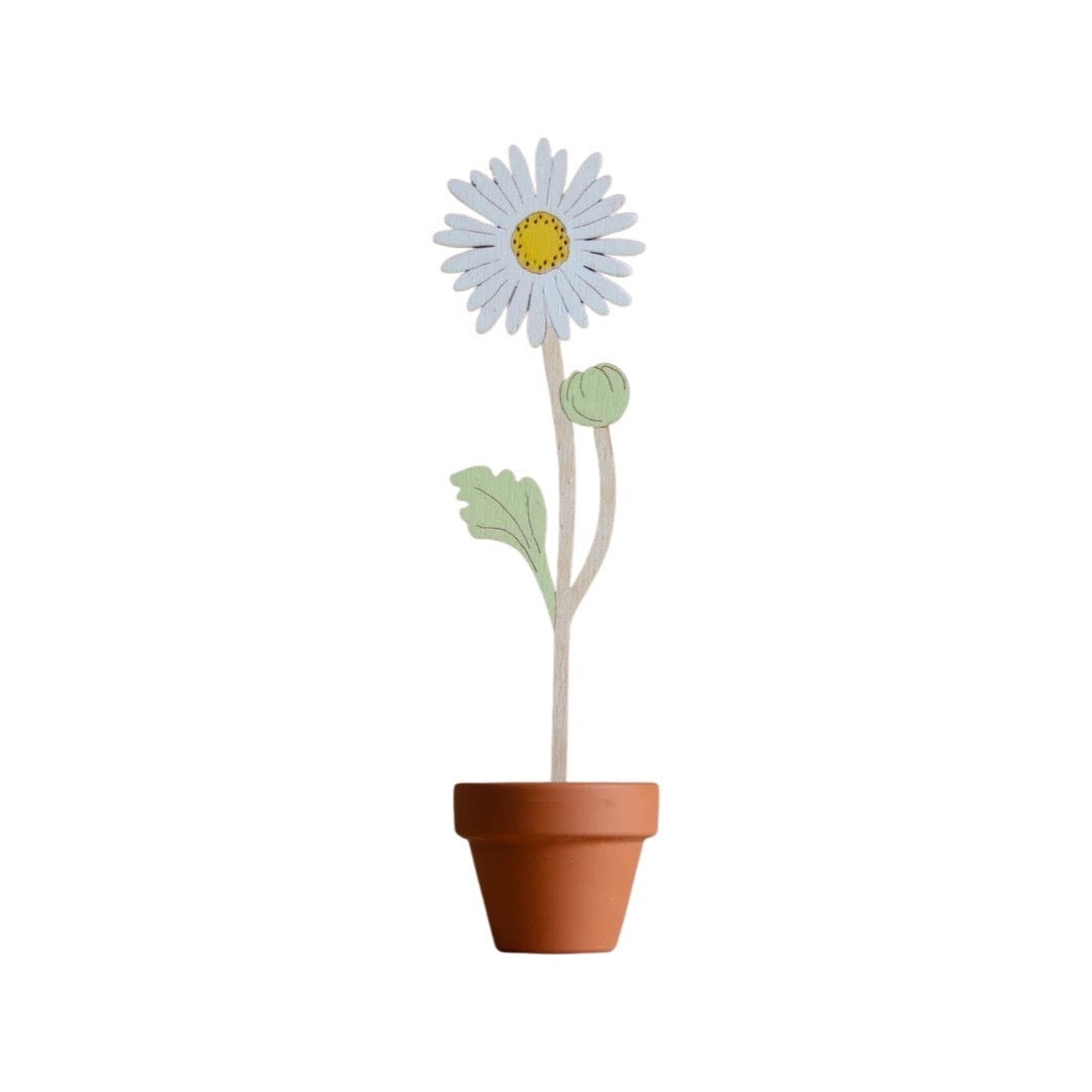 Single daisy wooden stem in a terracotta pot