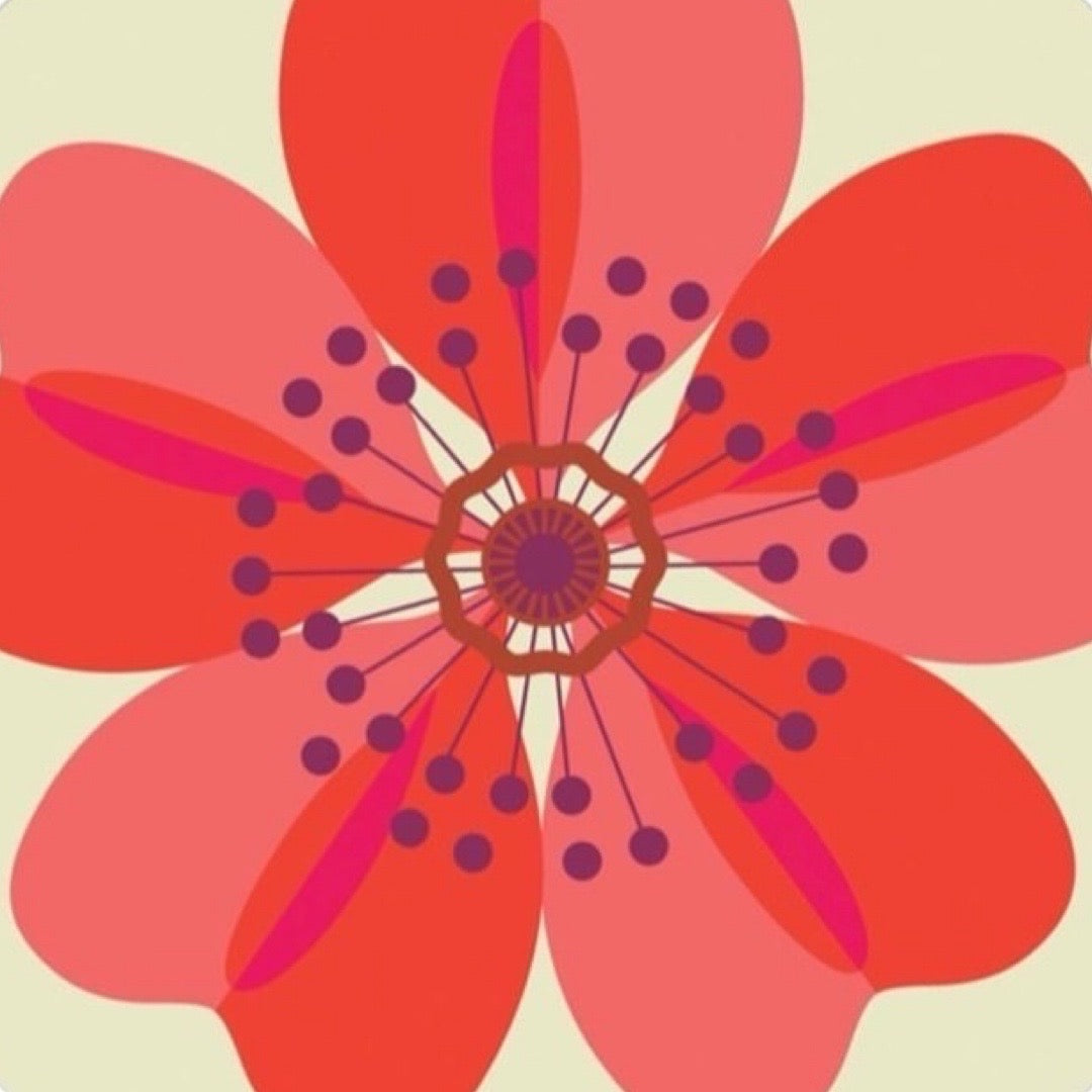Close up of a red dahlia flower.
