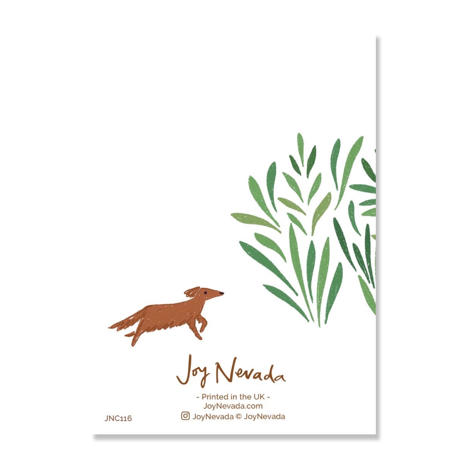 The back of a Joy Nevada card with a small brown dog.