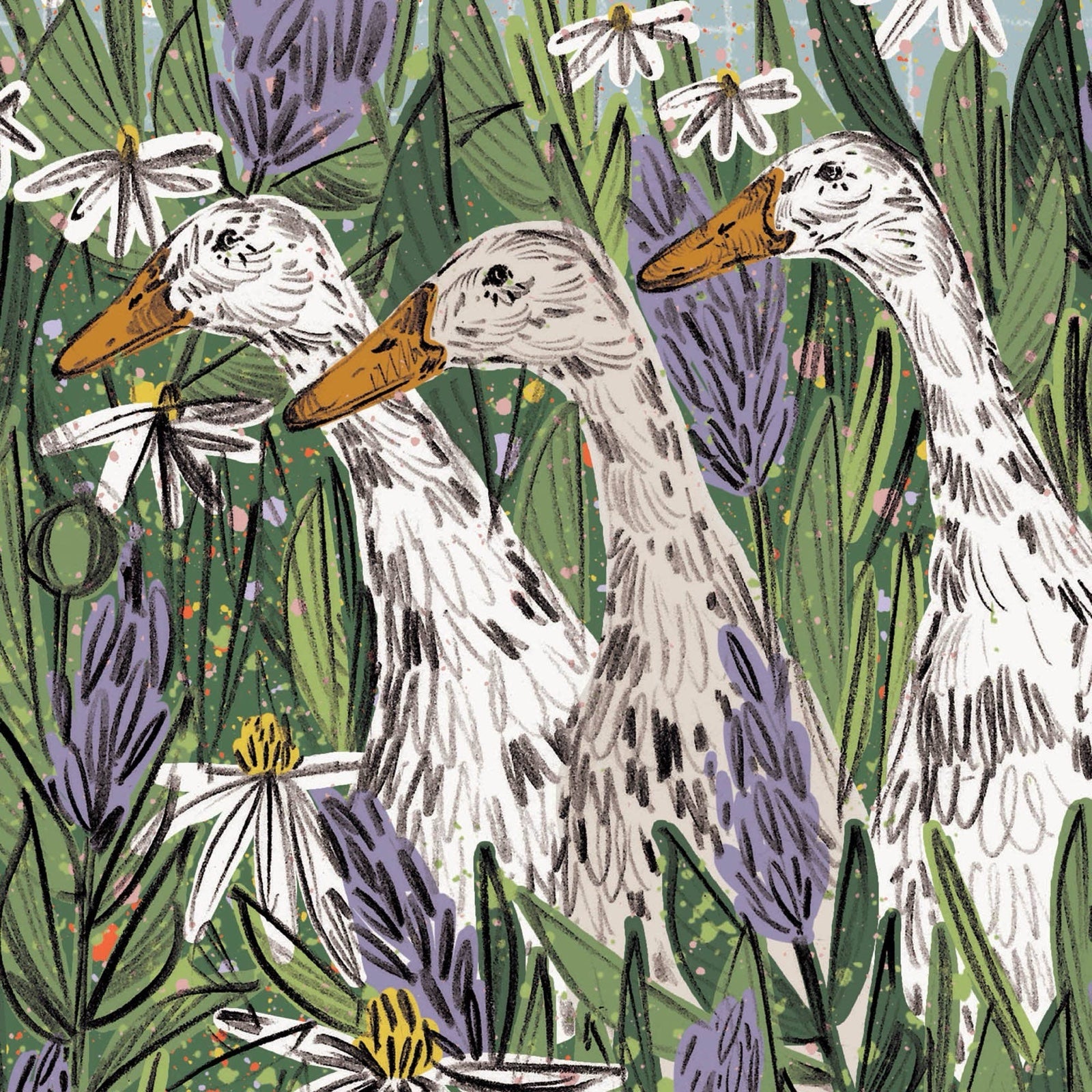 Illustration of three ducks standing tall in a garden of long grass and meadow flowers.