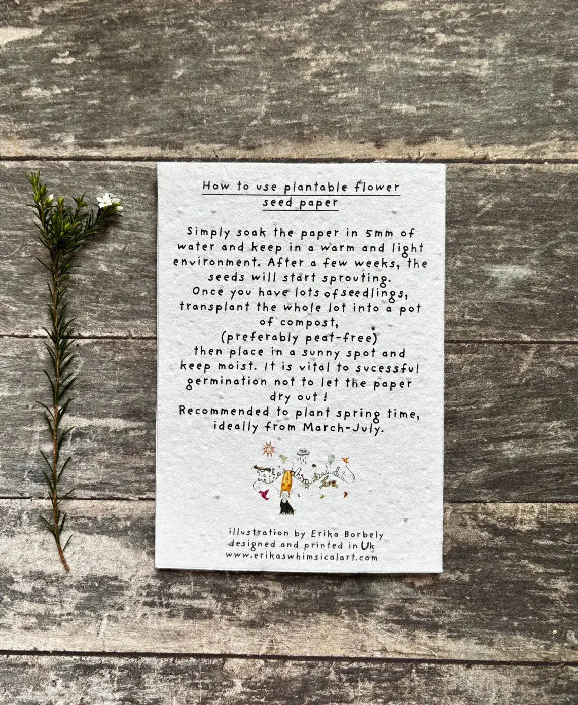 Meadow Flowers Mother's Day Plantable Card