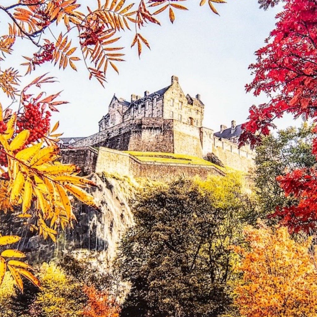 Castle surrounded by trees with autumn foliage on a white background.