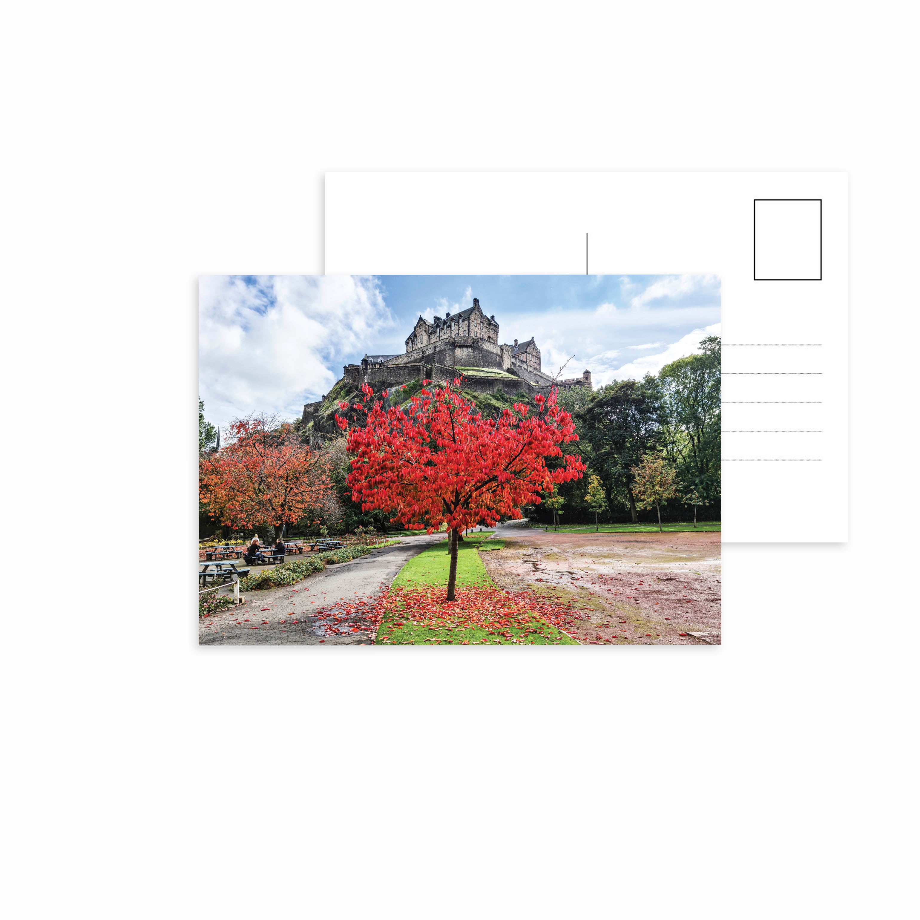 A picture of a tree with red leaves with Edinburgh Castle in the background on a postcard. 