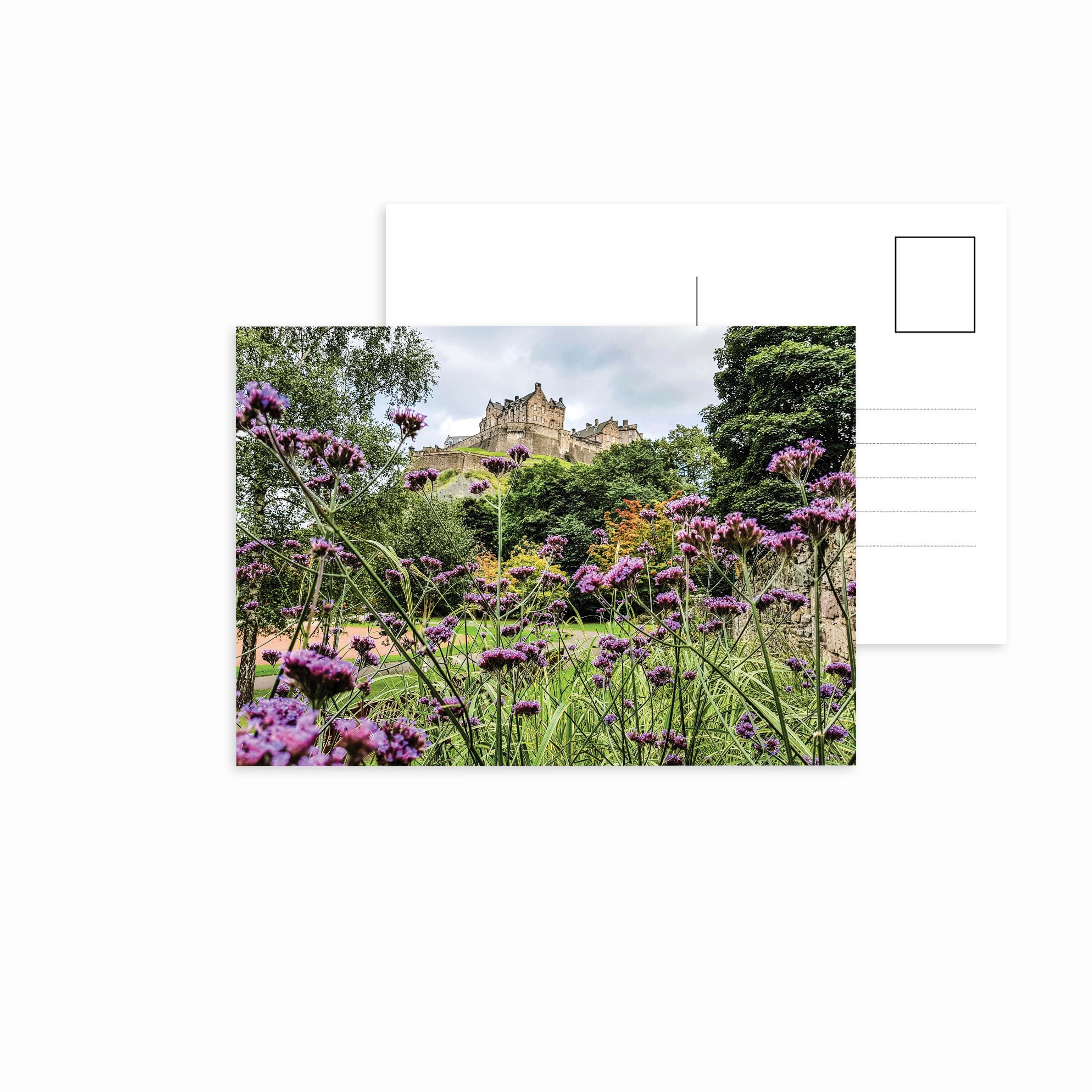 A picture of Edinburgh Castle with Verbena flowers in the foreground on a postcard. 