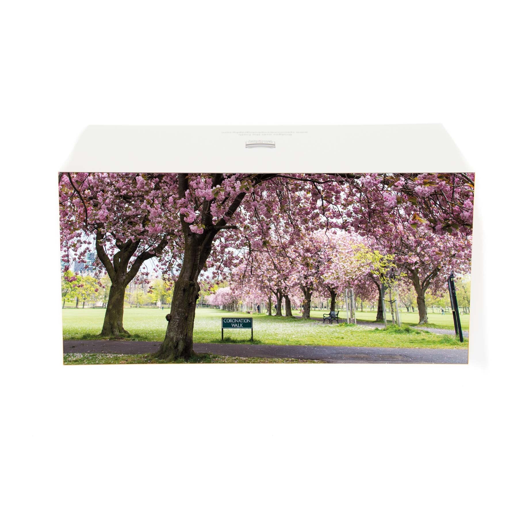 An image of Coronation walk in the Meadows, Edinburgh on a card. 