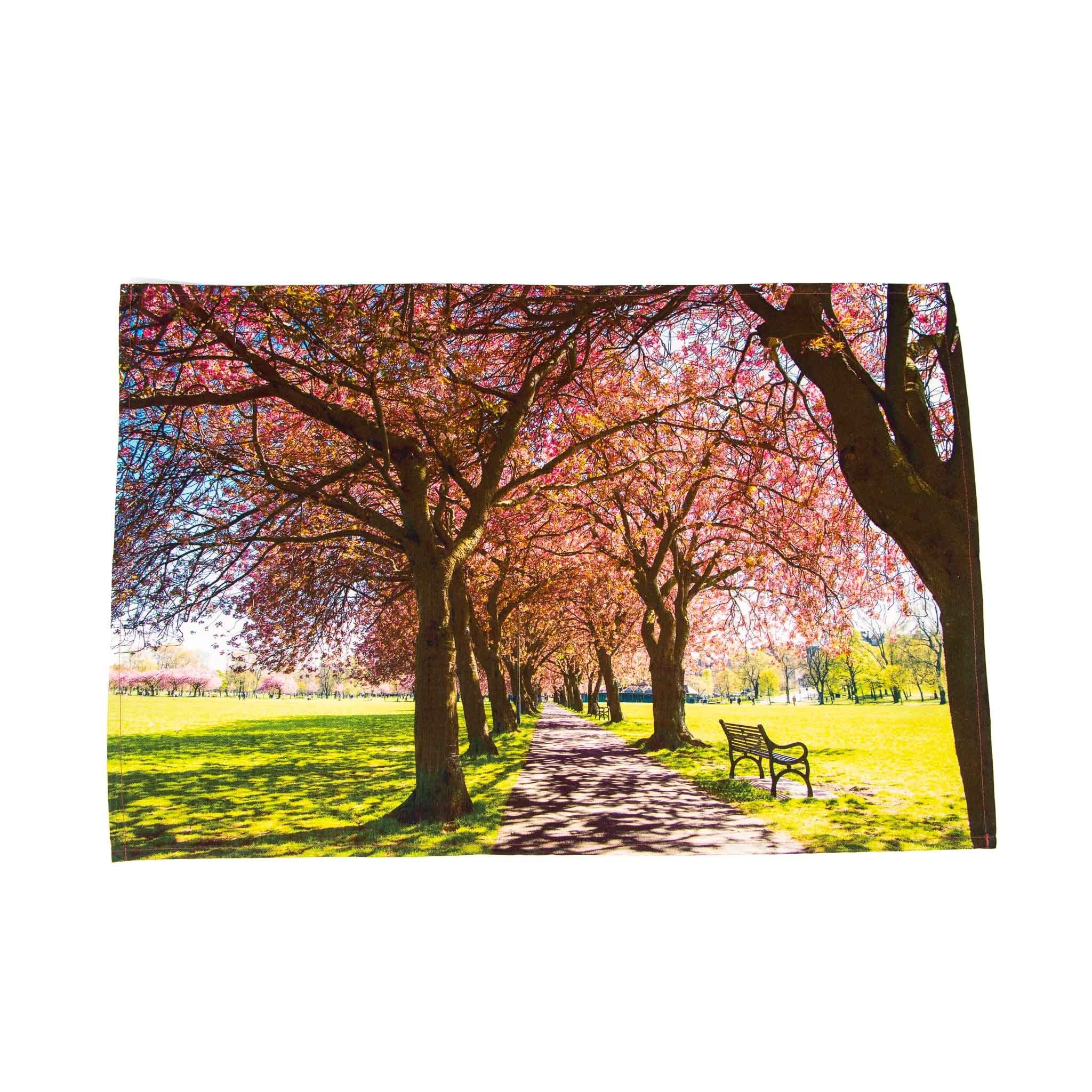 An image of a tea towel featuring the Meadows, Edinburgh in blossom. 