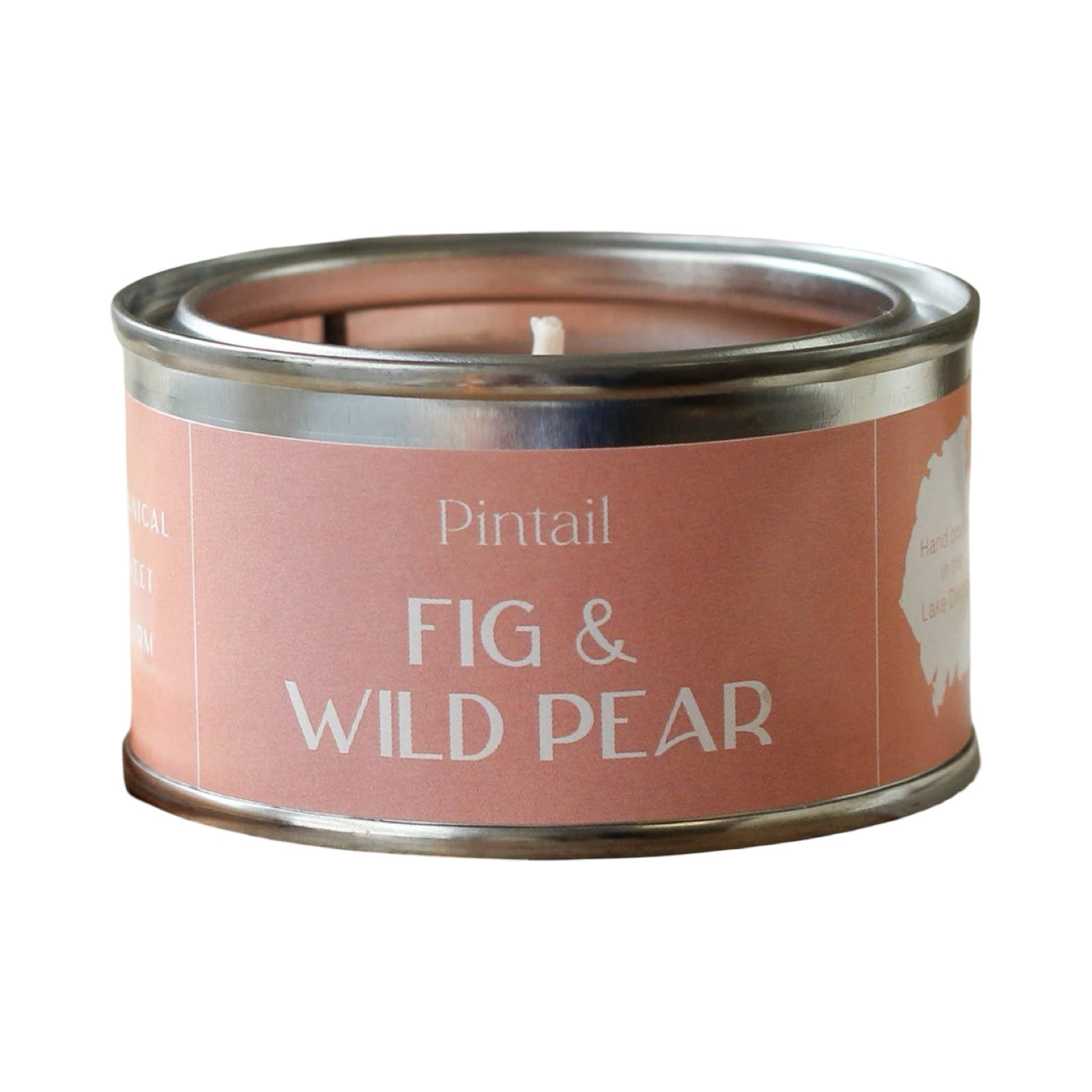 Fig and Wild Pear Paint Pot Candle