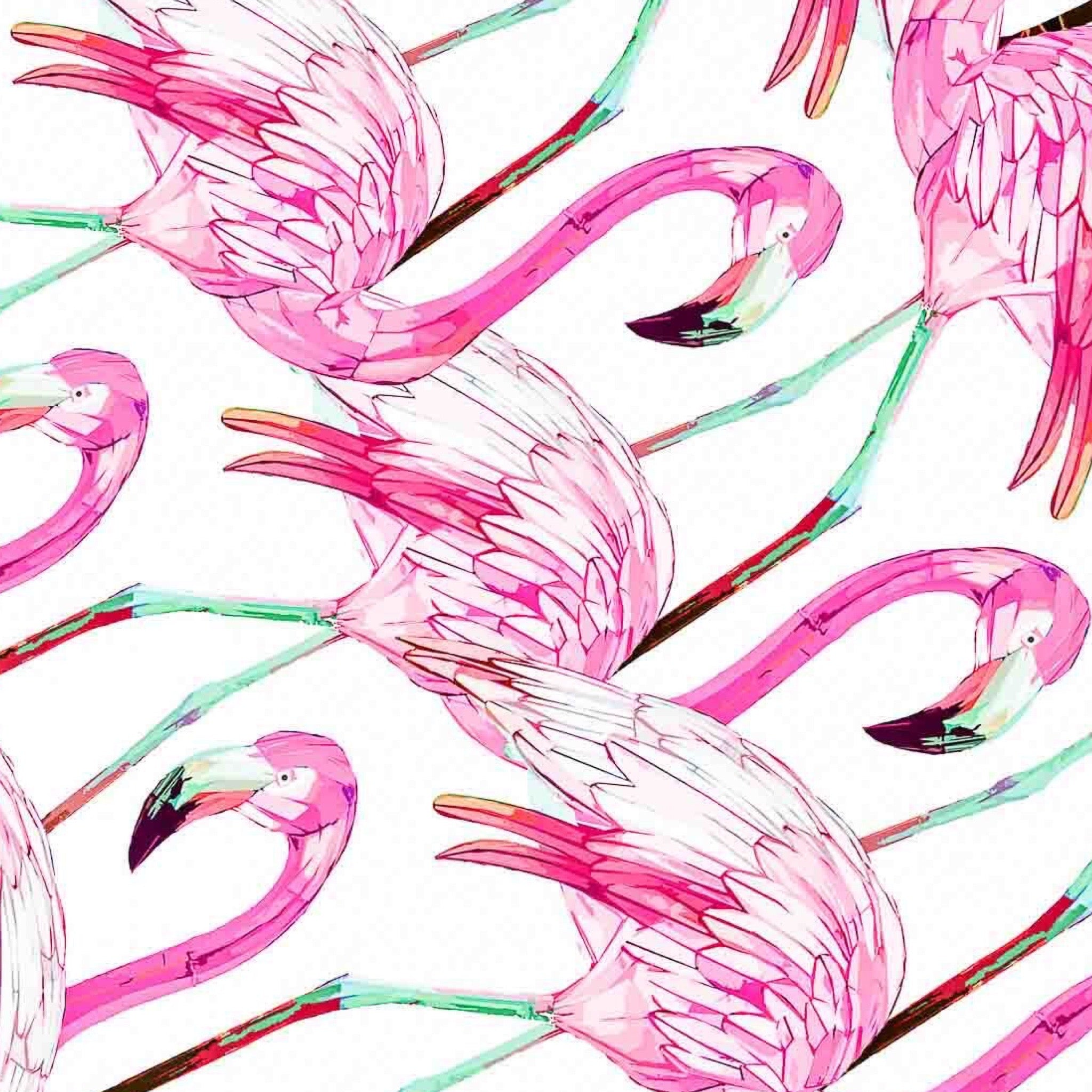 Pattern of pink flamingos with green accents on a white background.