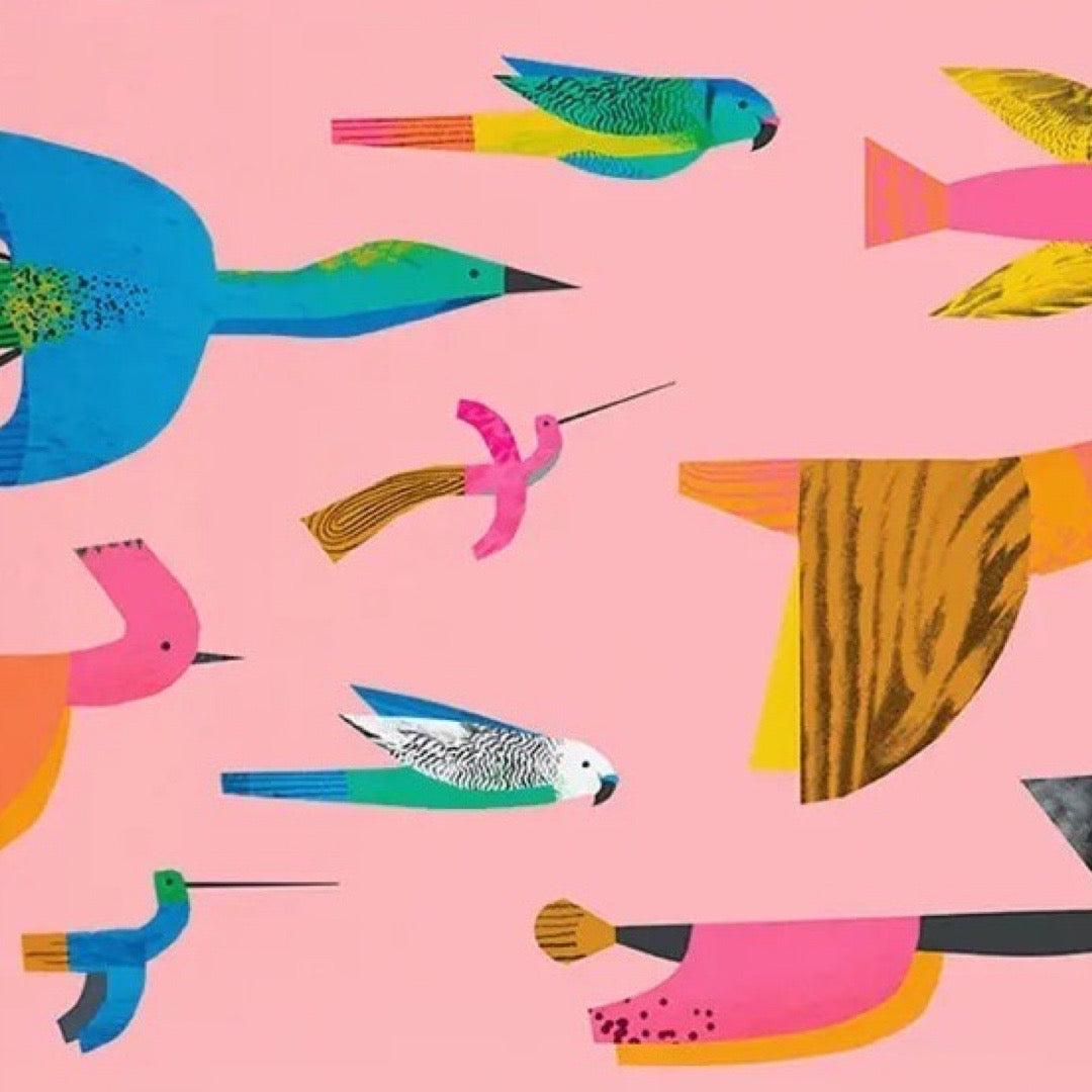 A postcard featuring a flock of colourful flying birds on a pink background.