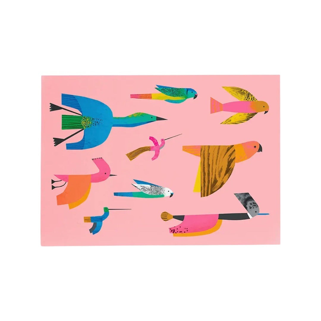 A postcard featuring a flock of colourful flying birds on a pink background.