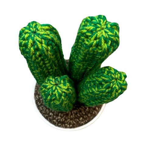 Handmade four stem large crochet cactus in a white painted terracotta pot. 