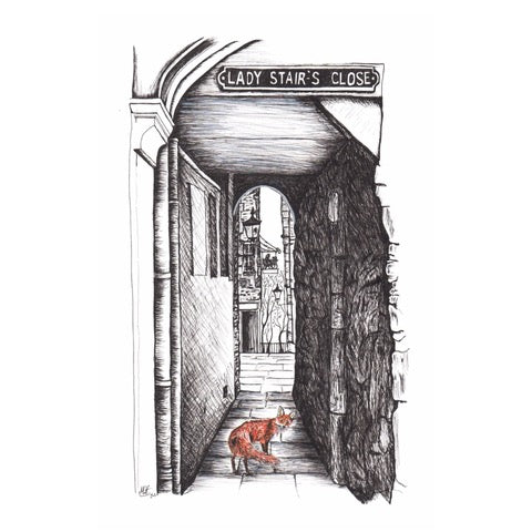 A framed illustrated print of a fox at Lady Stairs Close, Edinburgh