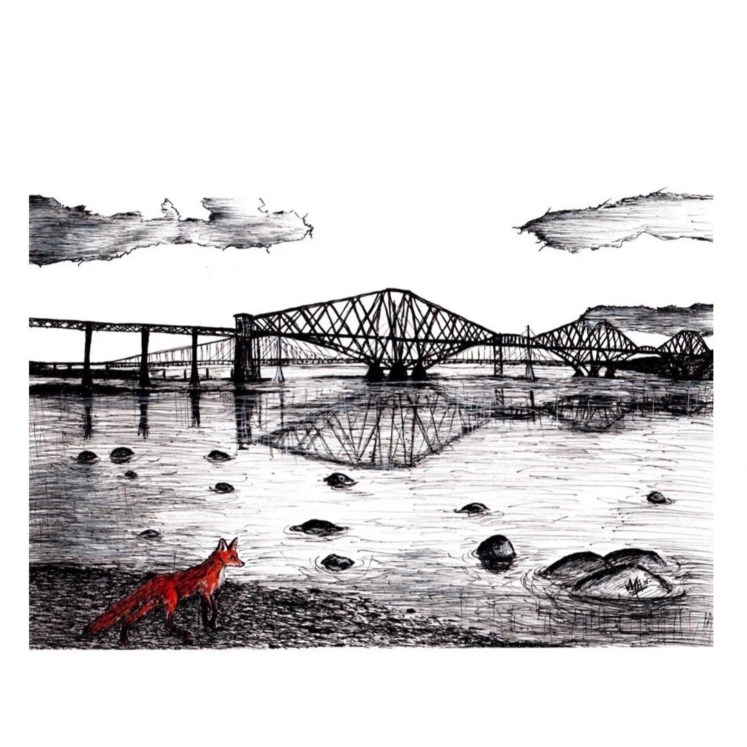 An illustrated print of a fox admiring the view of the three iconic Forth Bridges.