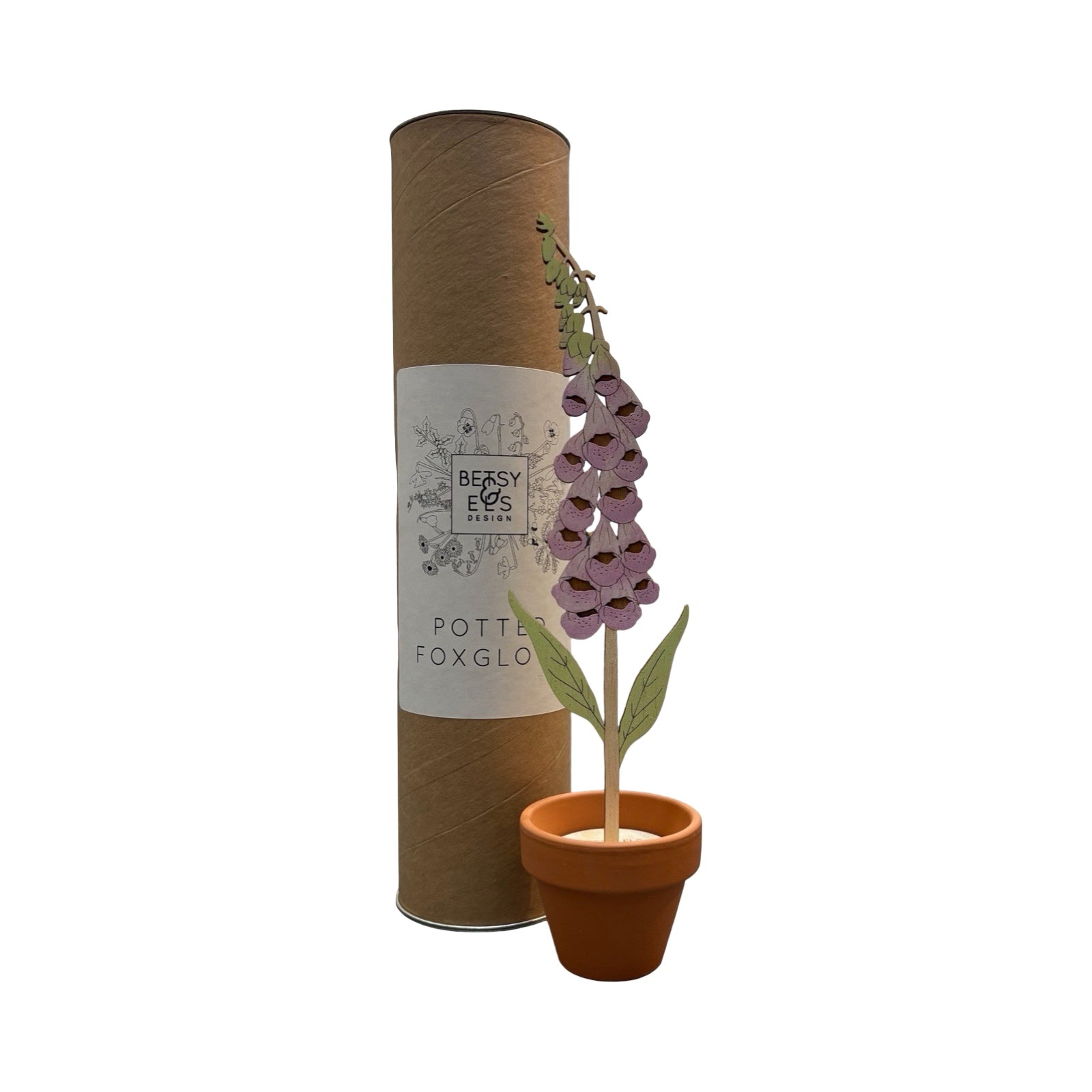 A single foxglove (pink bell shaped flower) wooden stem in a terracotta pot with a branded cardboard tube.