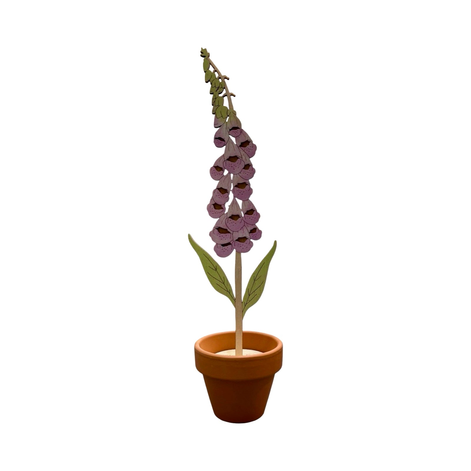 A single foxglove (pink bell shaped flower) wooden stem in a terracotta pot.