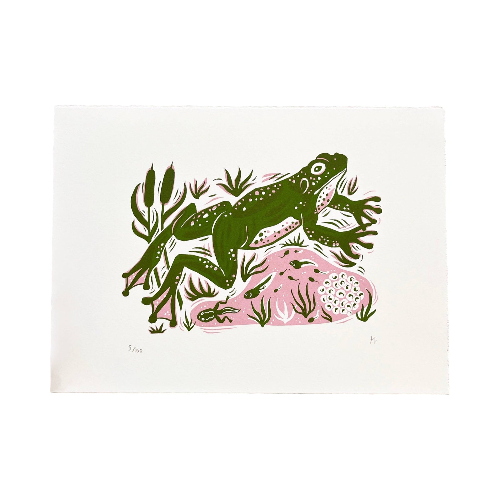 This frog screen print is printed in dark green and dusky pink. It features a large green frog leaping over a pond and is printed on hand-torn, thick, satin white paper.