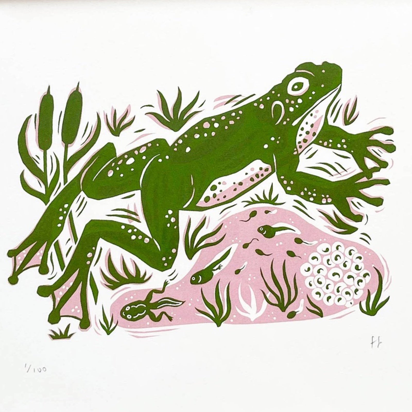 This frog screen print is printed in dark green and dusky pink. It features a large green frog leaping over a pond and is printed on hand-torn, thick, satin white paper.