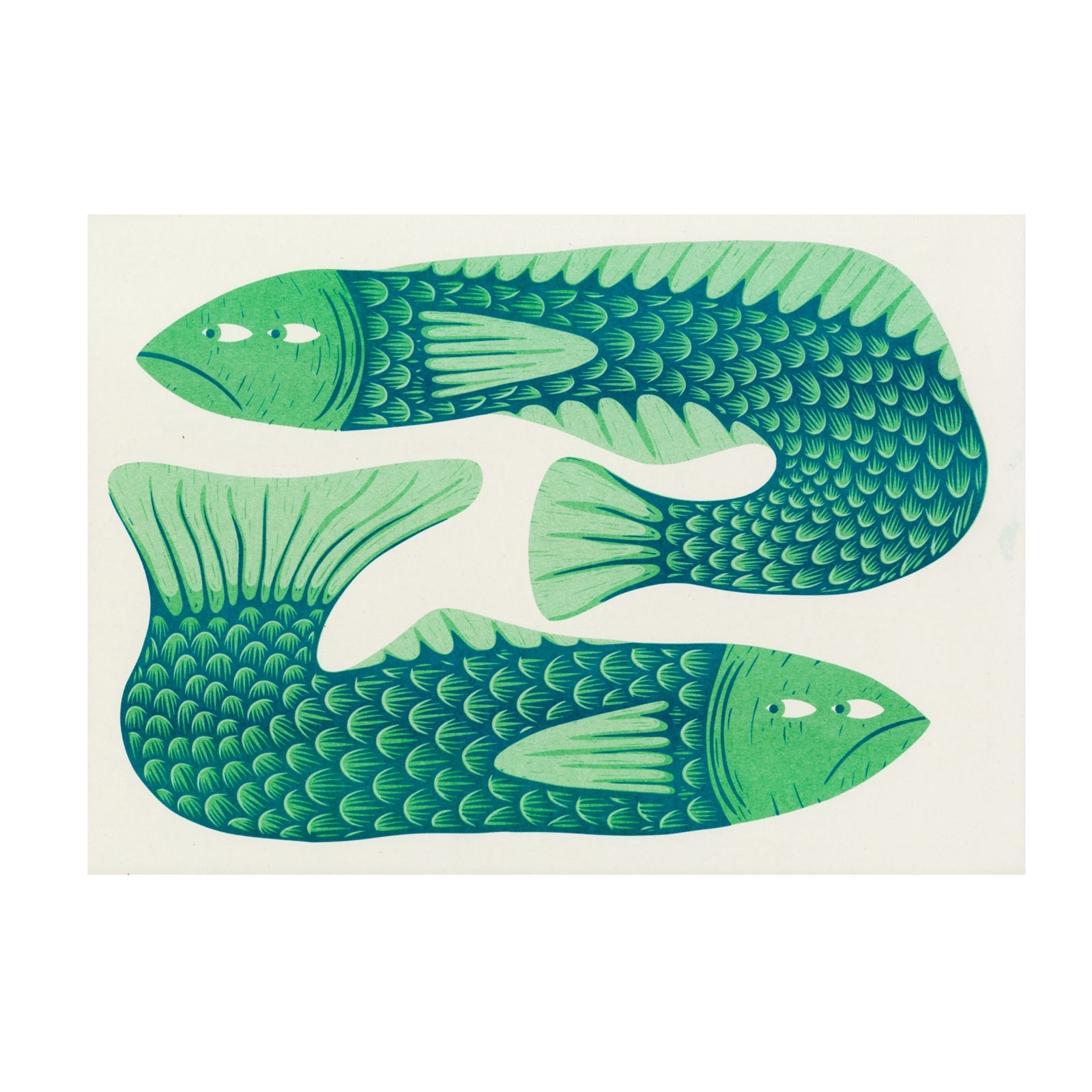 Two green fish illustrations on a white background.