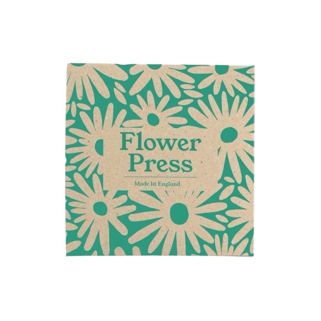 Flower press box with daisies against a green background.
