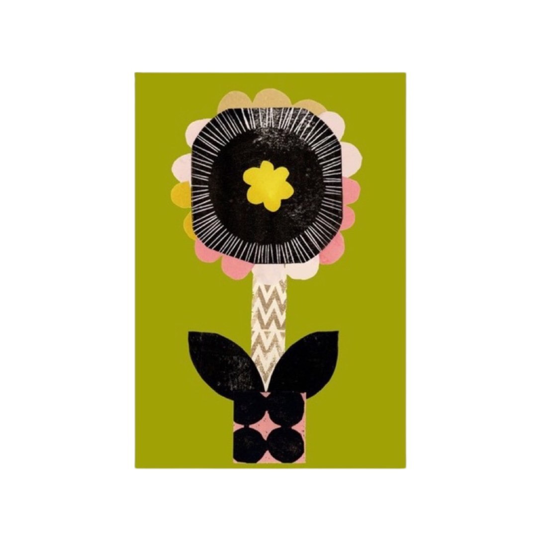 A print of a mid-century inspired black flower with a yellow centre and pink, yellow and white petals, against a lime green background.