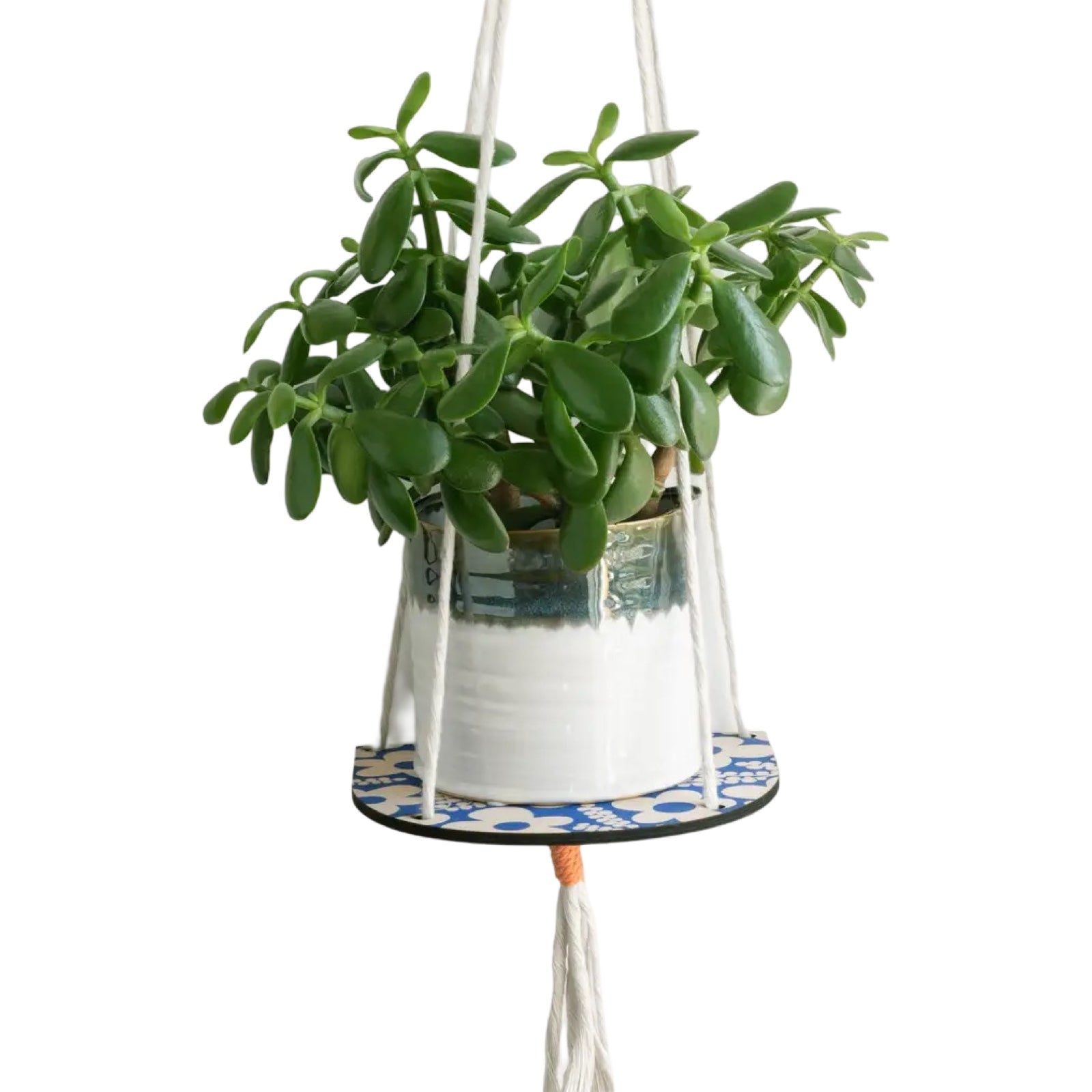 Hanging Plant Shelf