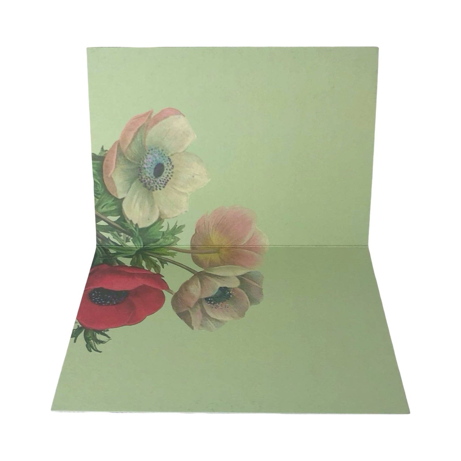 Floral card with red and pink flowers on a green background.