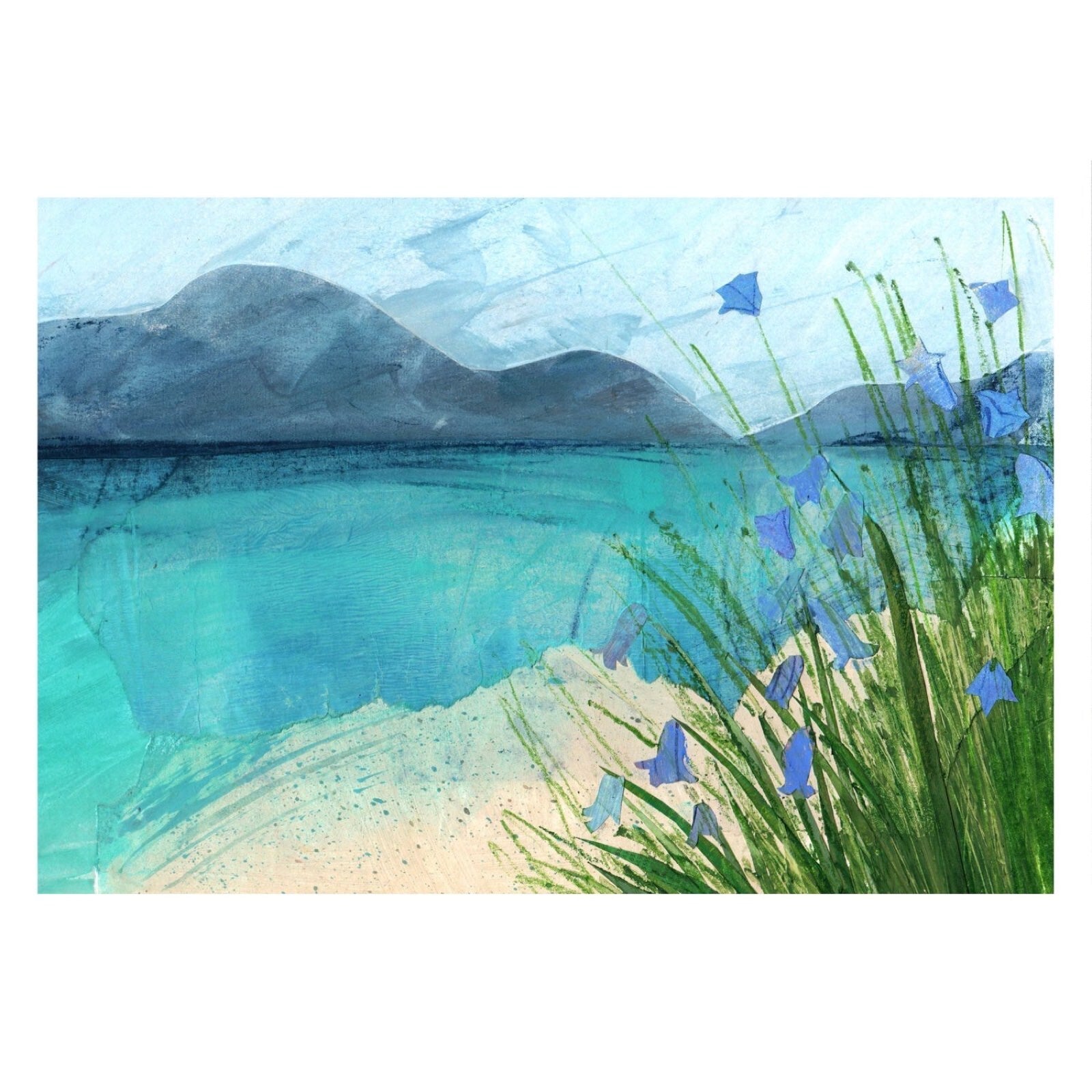 High quality giclée print of Harebells at Luskentyre beach on the Isle of Harris.
